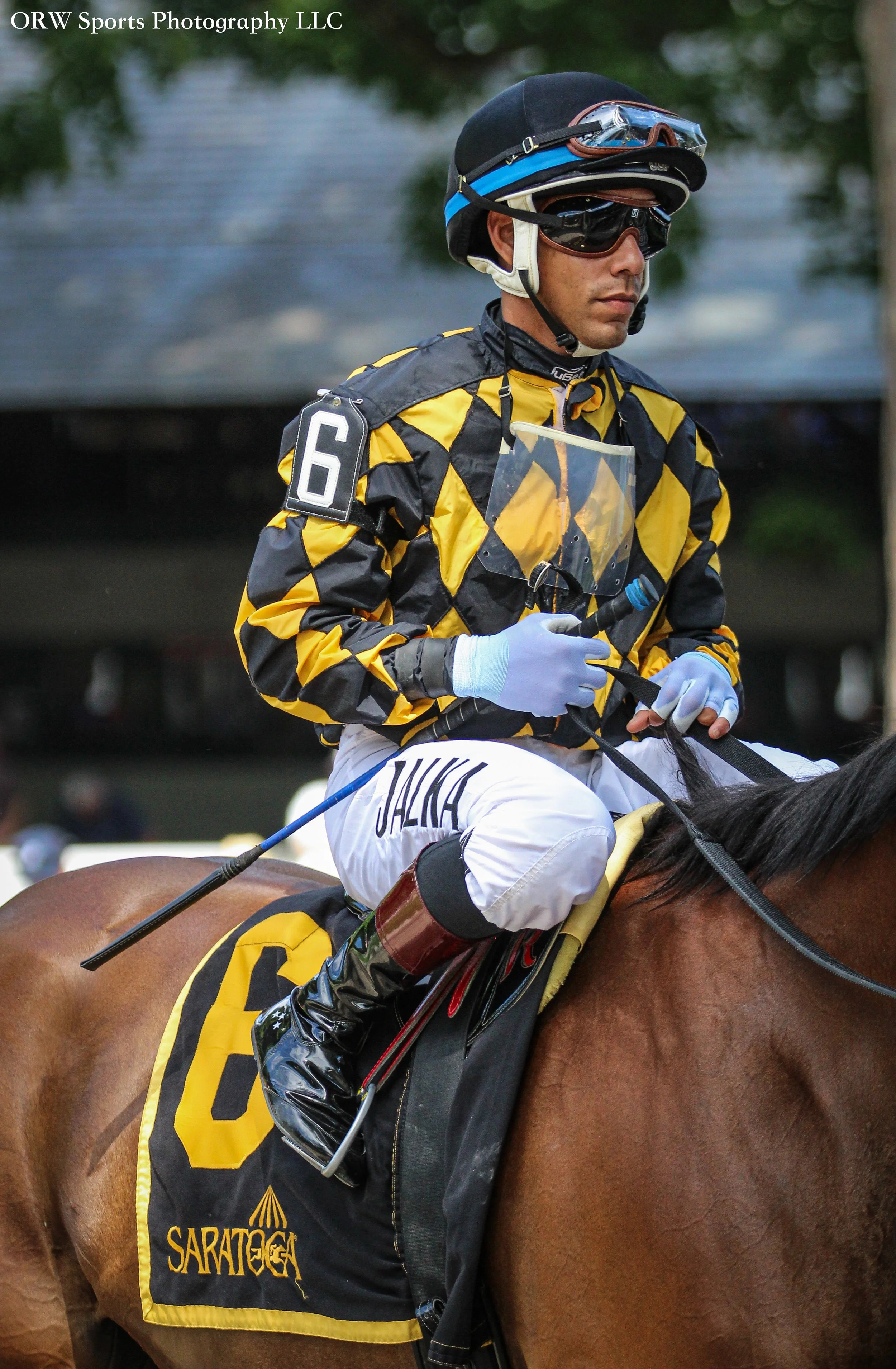 Jaime Rodriguez {Original Six Stable} 