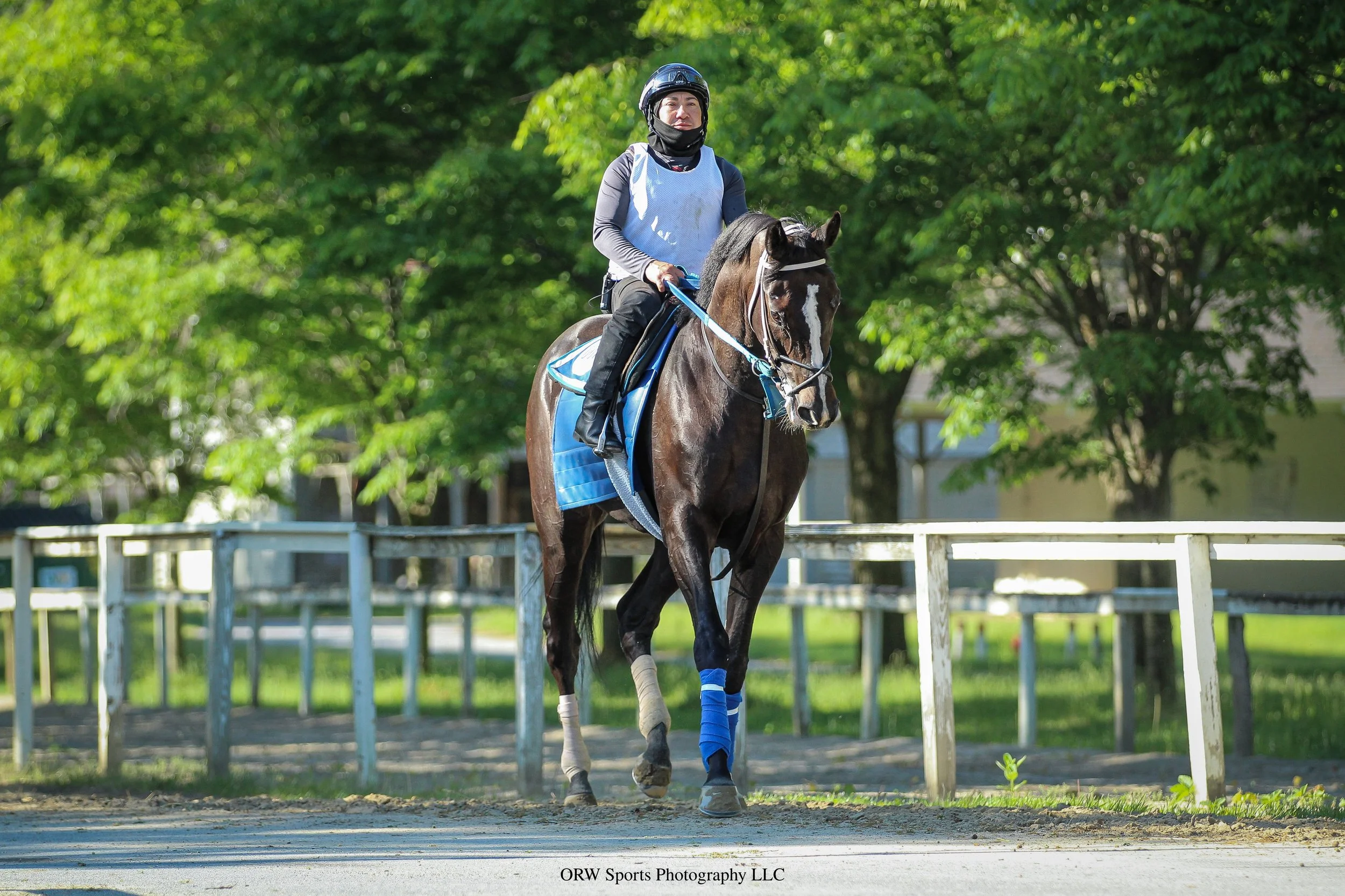 After coming off a win at Belmont At The Big A, Mosconi will make his next start on June 3rd