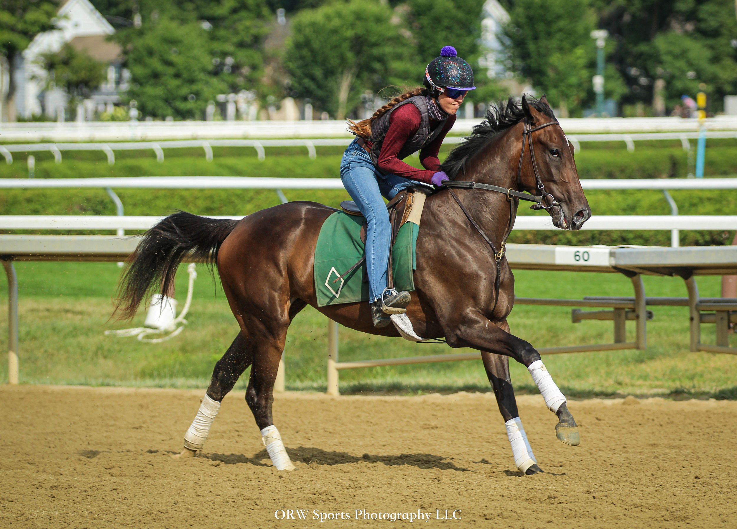 Mott Trainee (7) .jpg