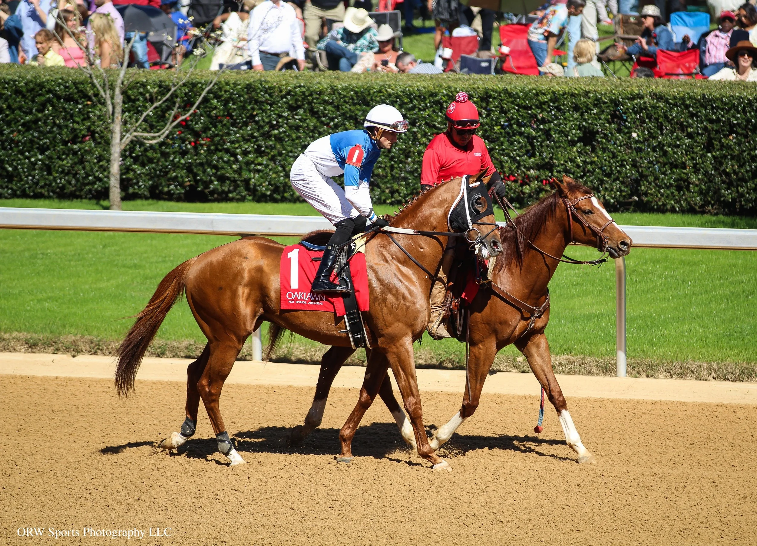 Risk It and Keith Asmussen 