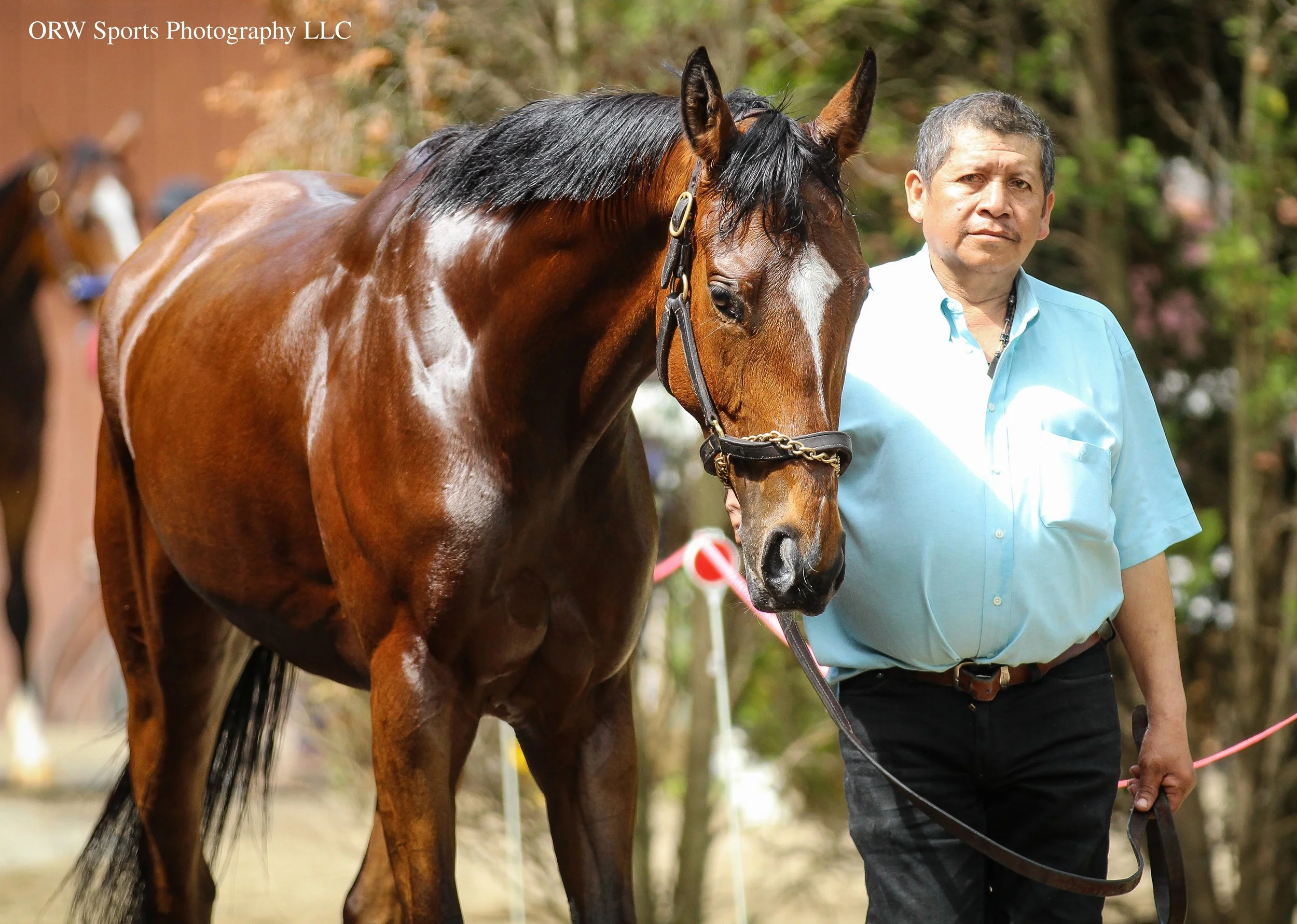 Morgana's Moment (11).jpg