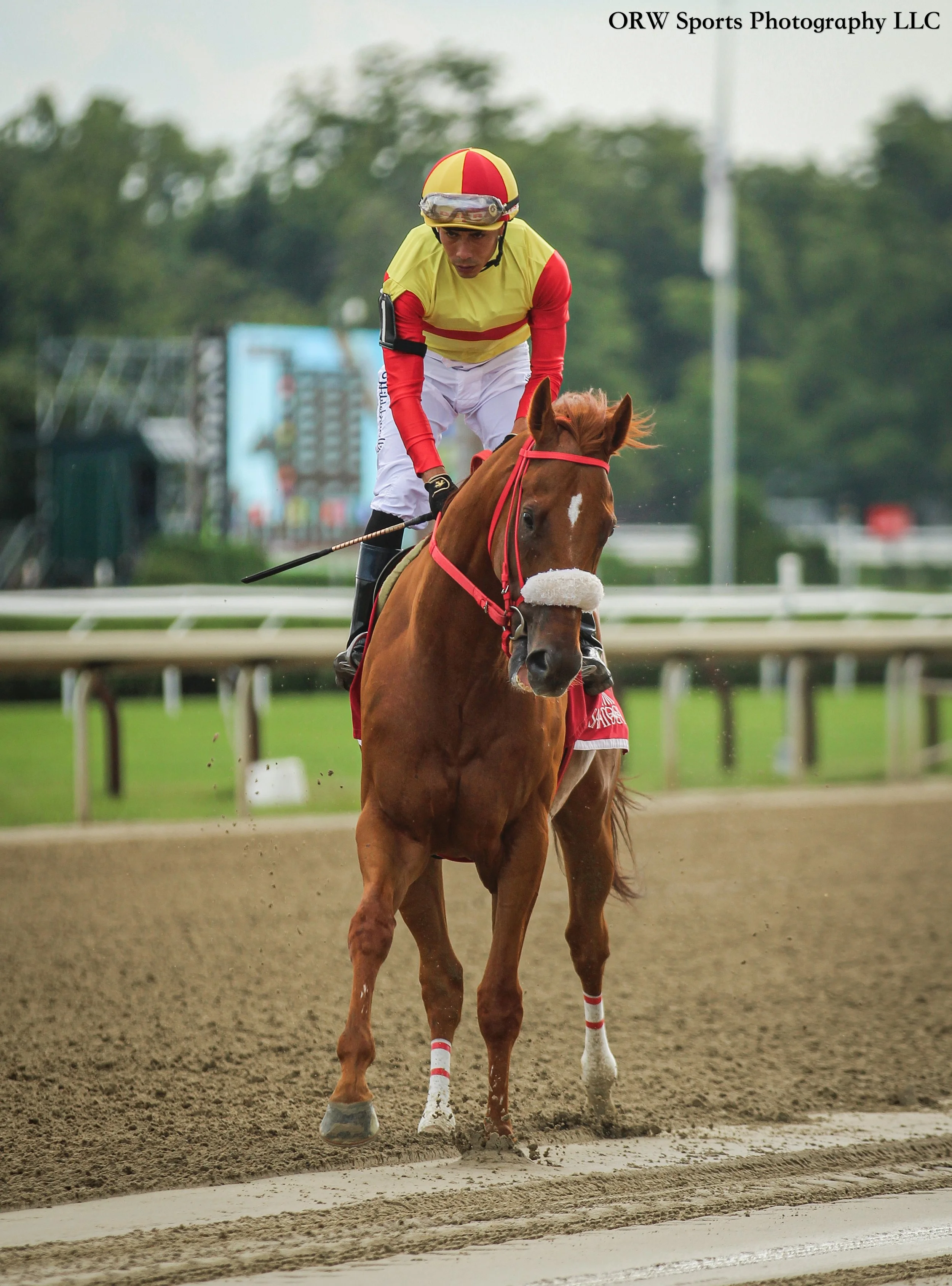 Metatron's Muse and Jose Ortiz 