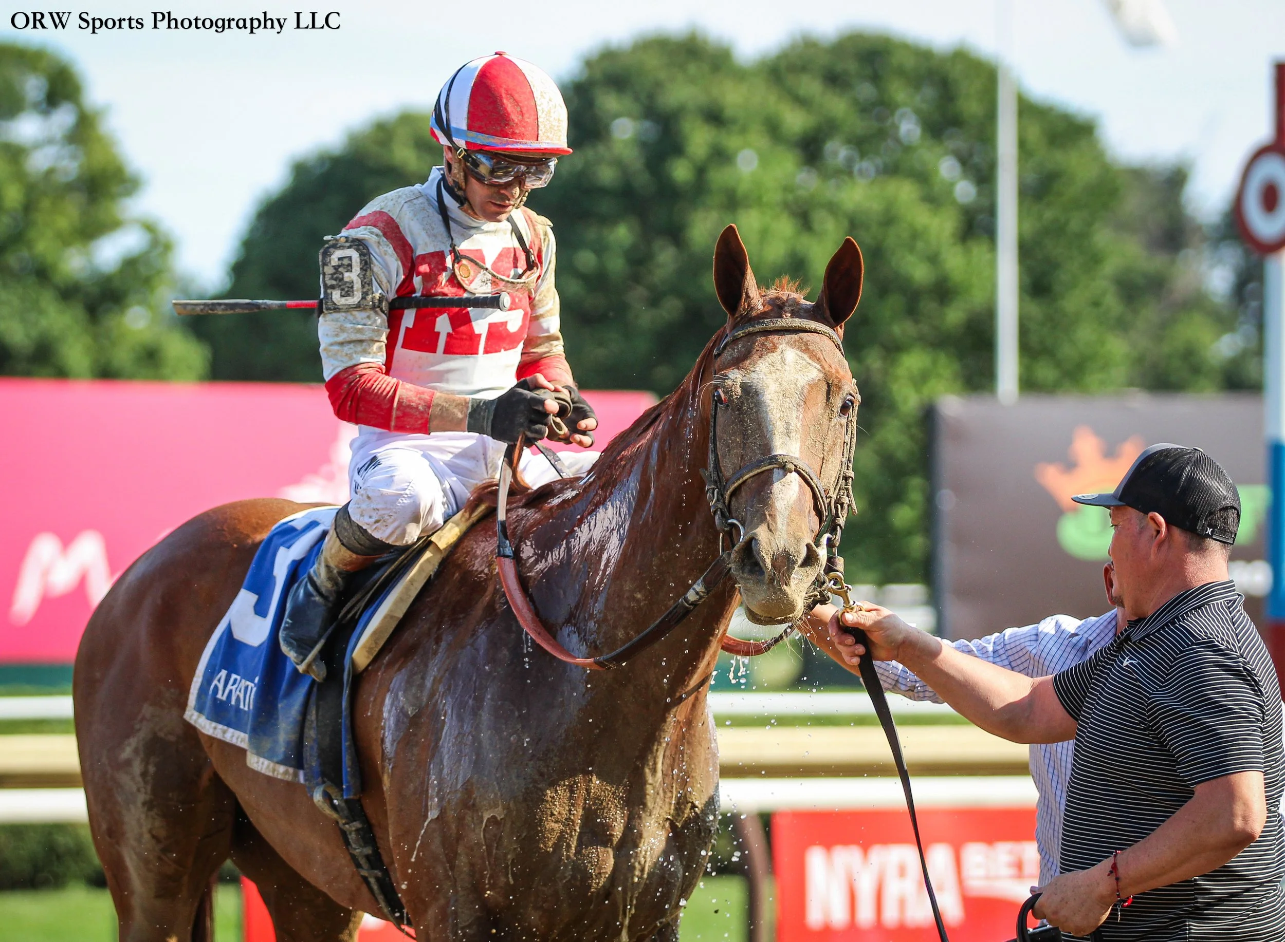 Fully Subscribed ran down Scottish Lassie in the closing stages the Grade 2 Shuvee Stakes