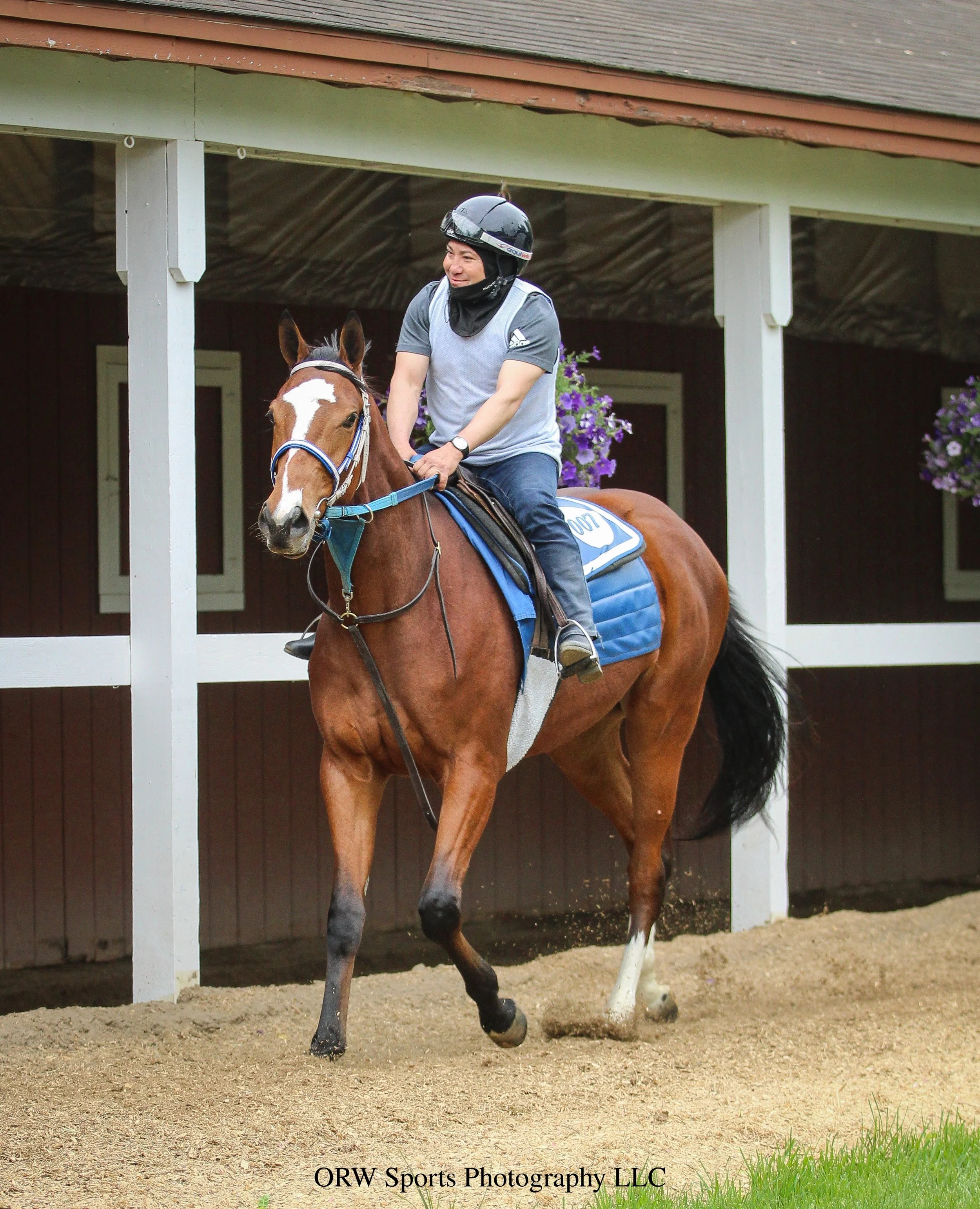 Tiz Justice