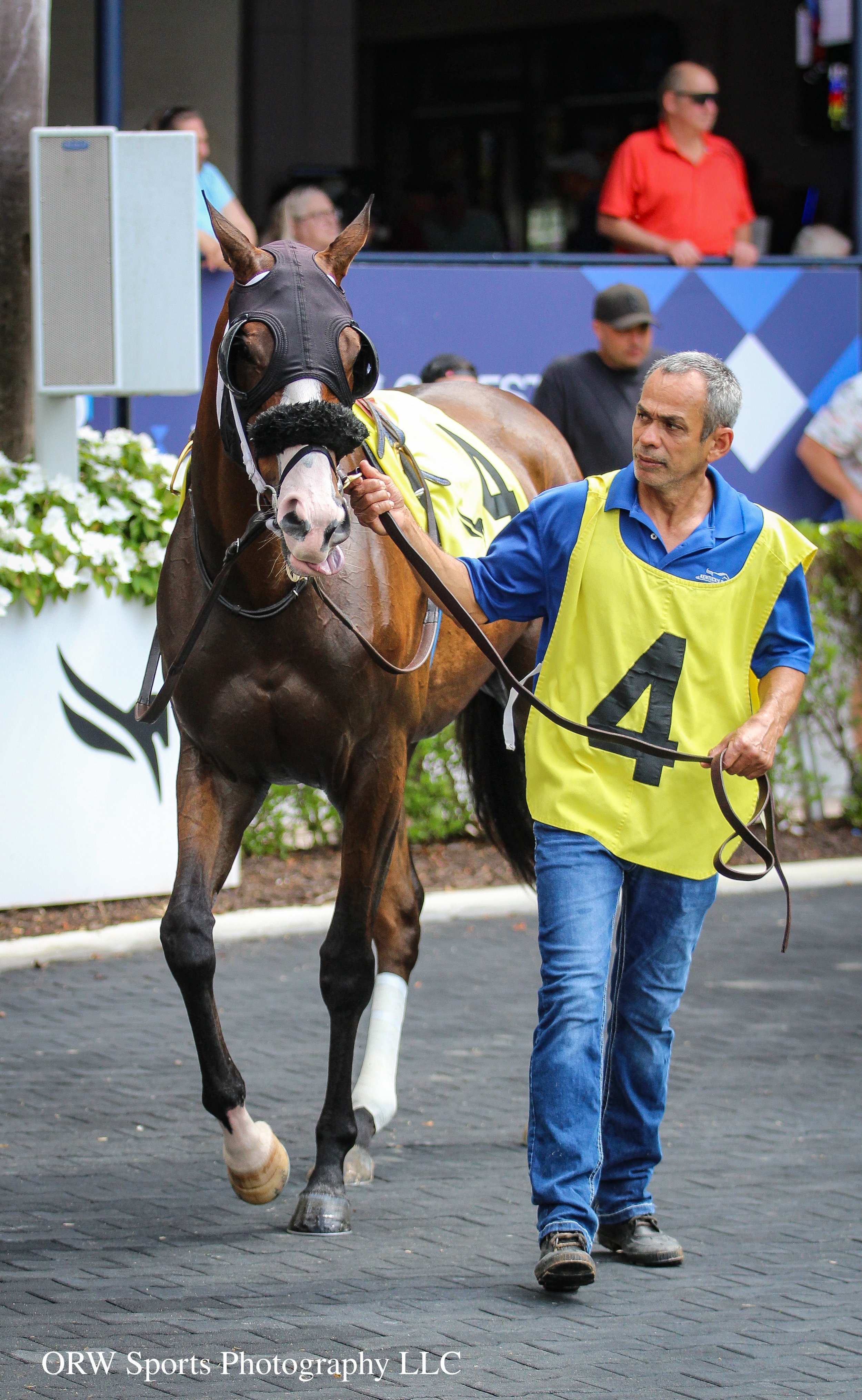 Snitch Dorada (2).jpg