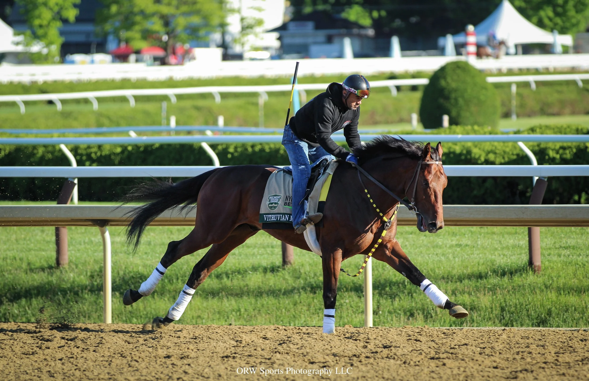 Vitruvian Man on the main track for Doug O'Neil