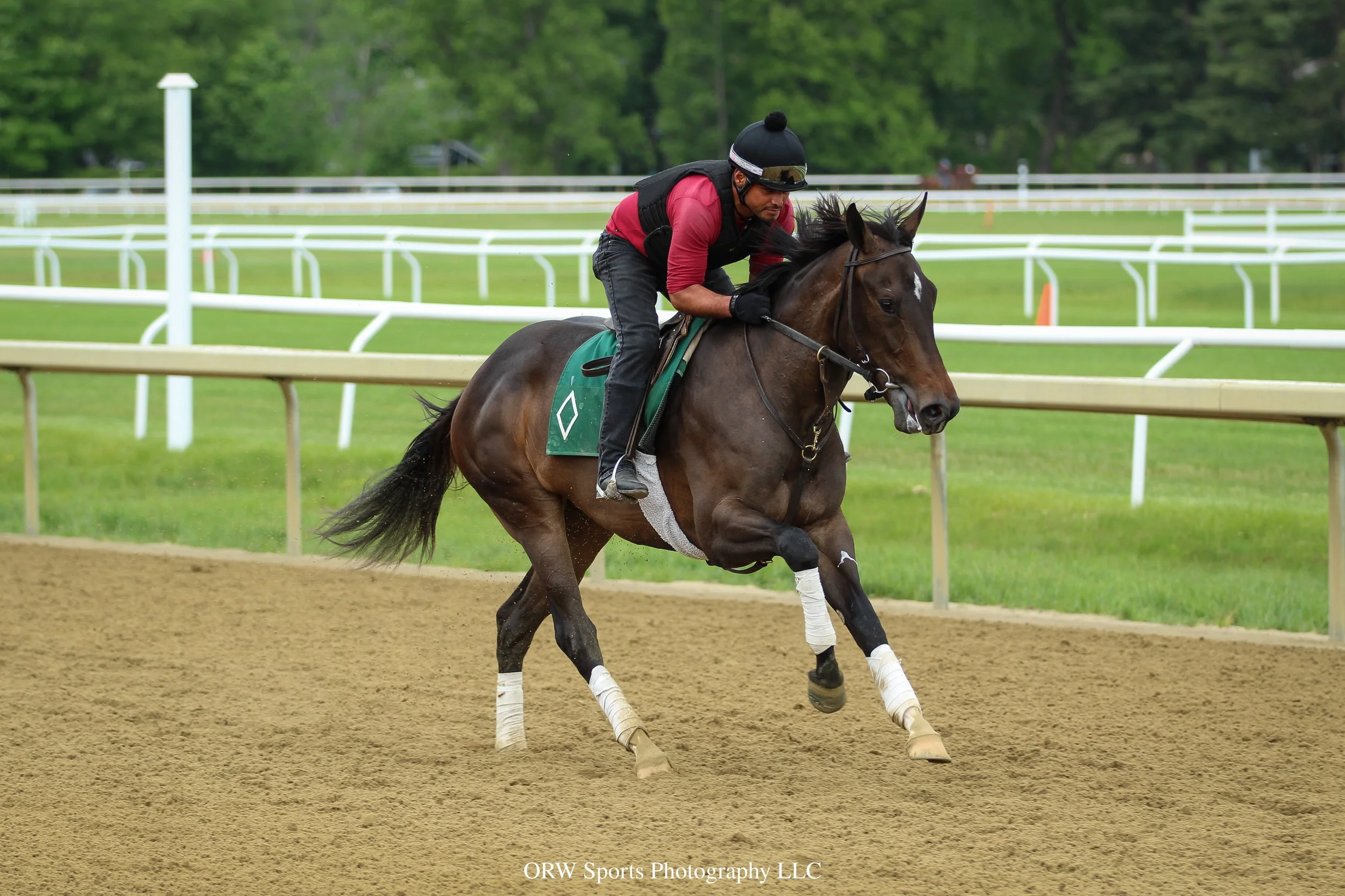 Bill Mott Trainee