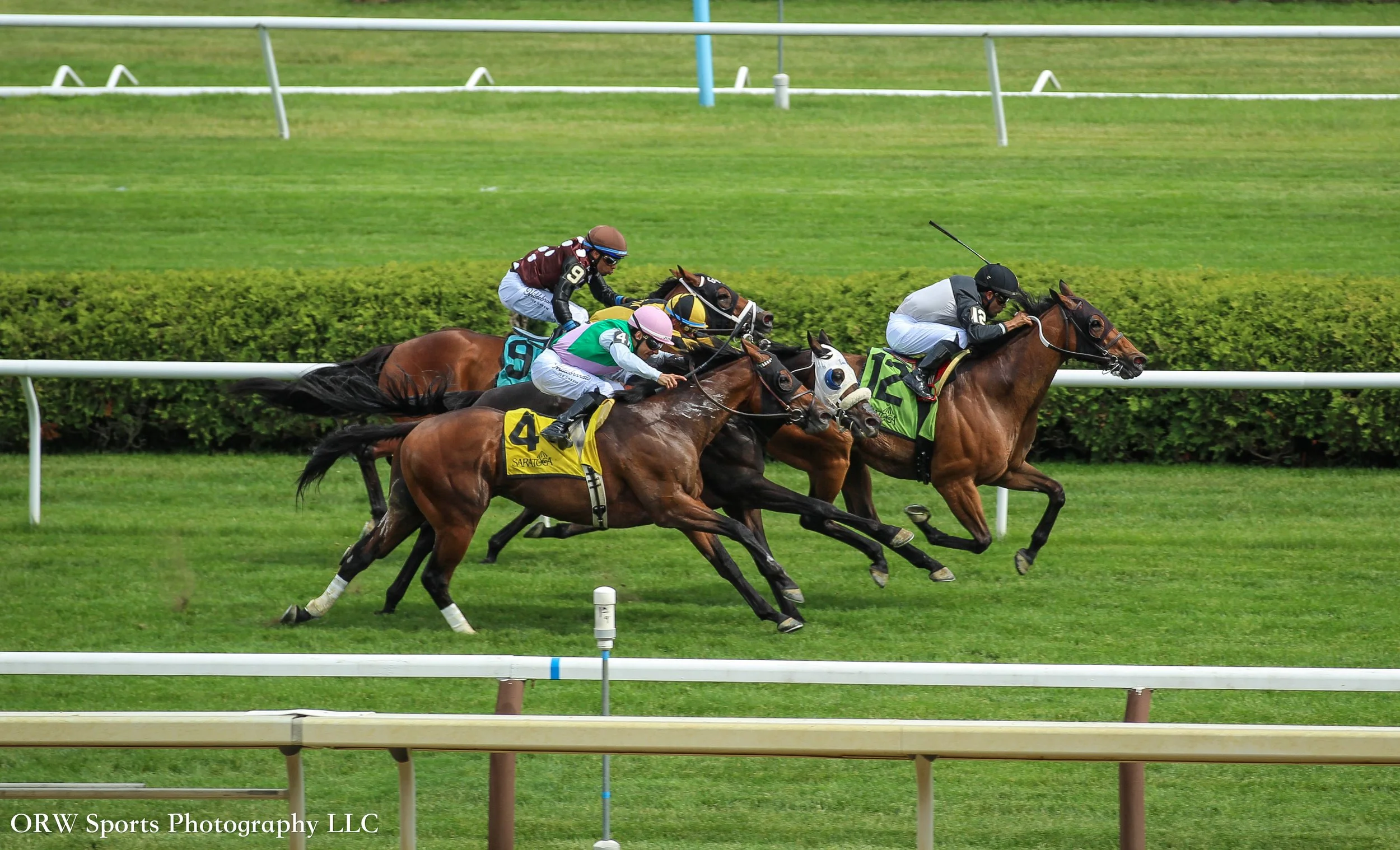 Determined Kingdom goes for the win in Race 8 