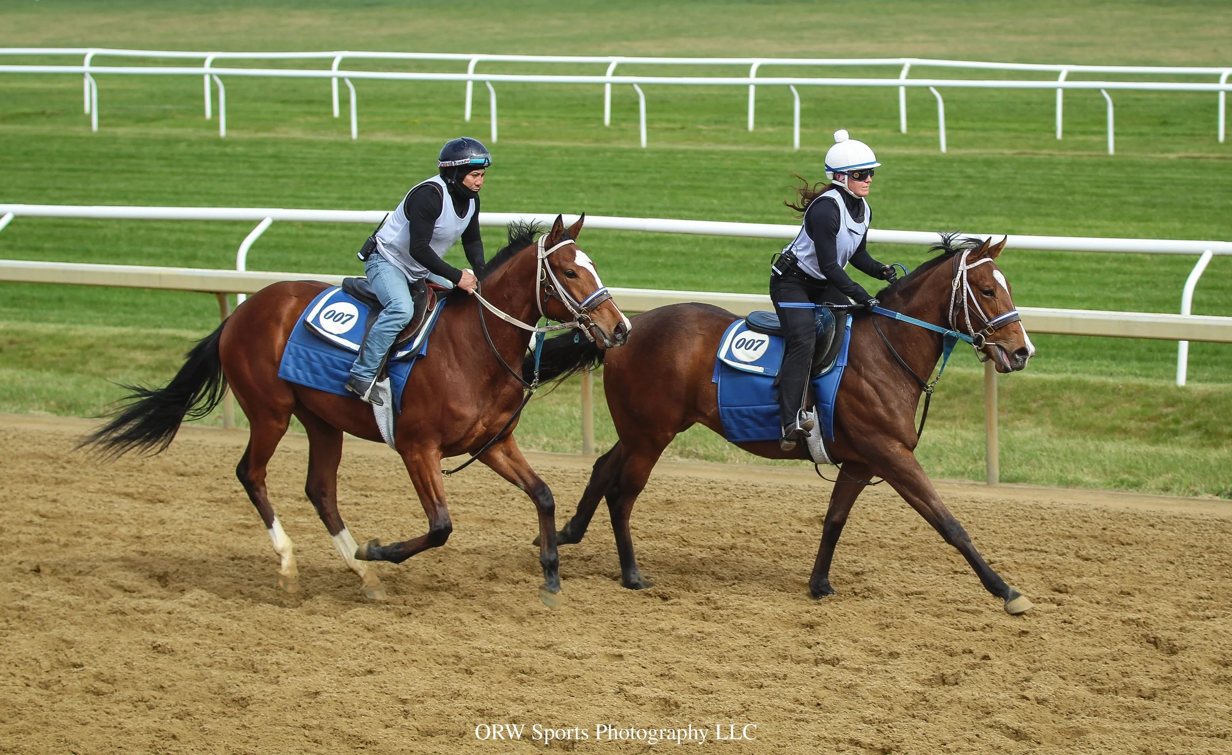 Tiz Justice and Normandy Lace (2).jpg