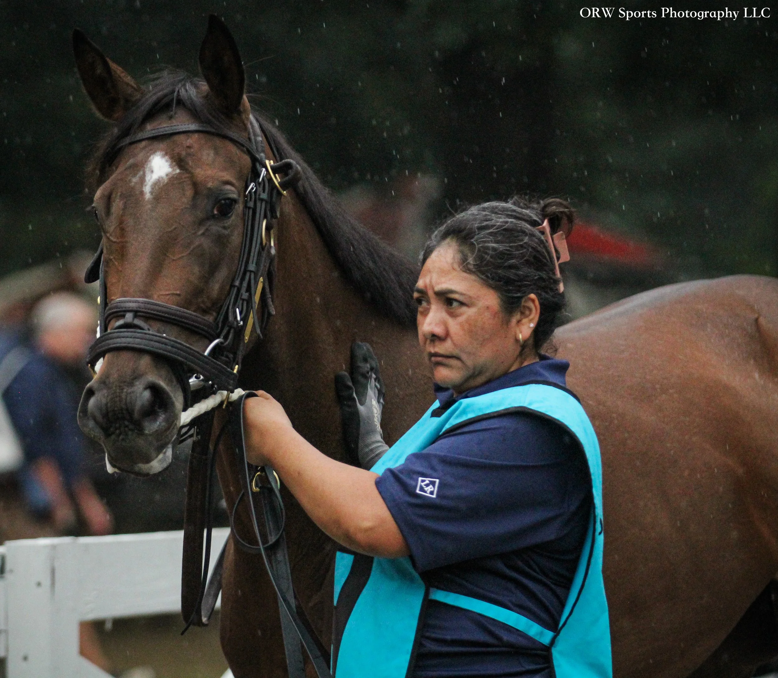 Combat Move enters the paddock for her debut. 