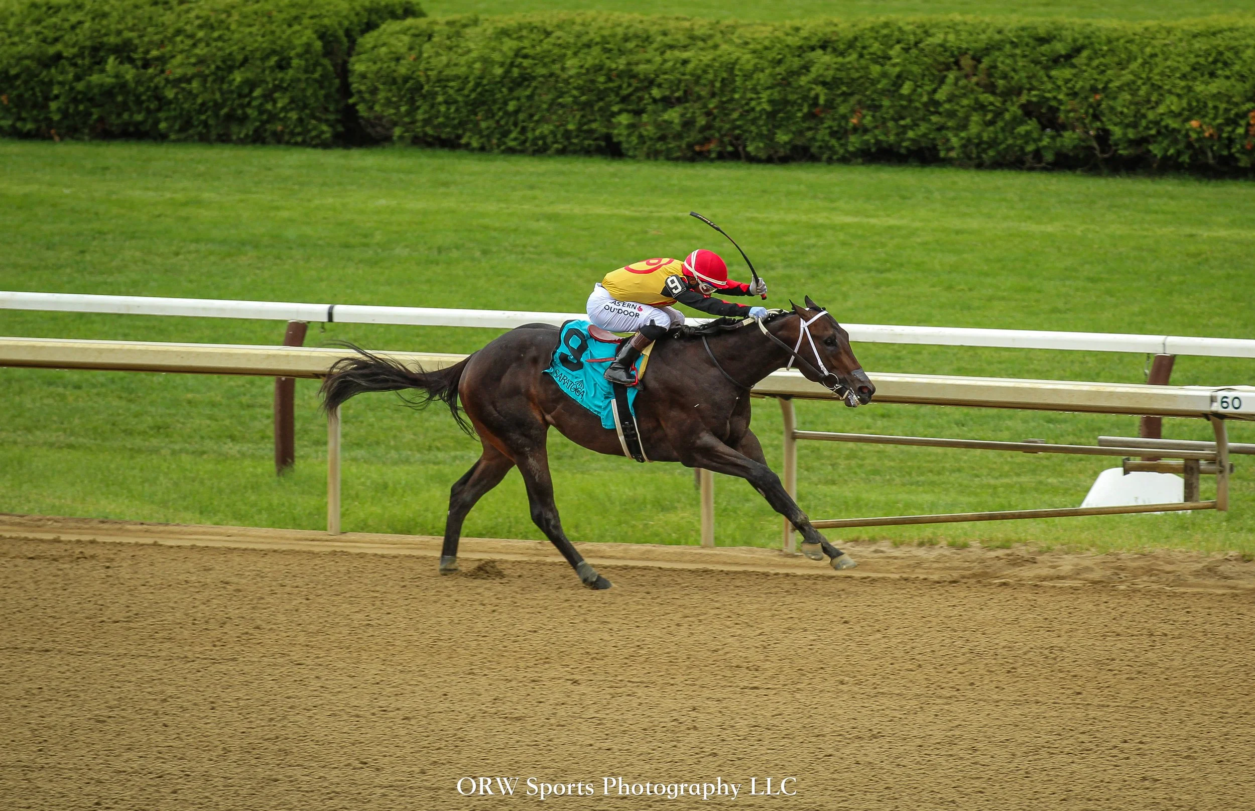 Booked and Ricardo Santana Jr 