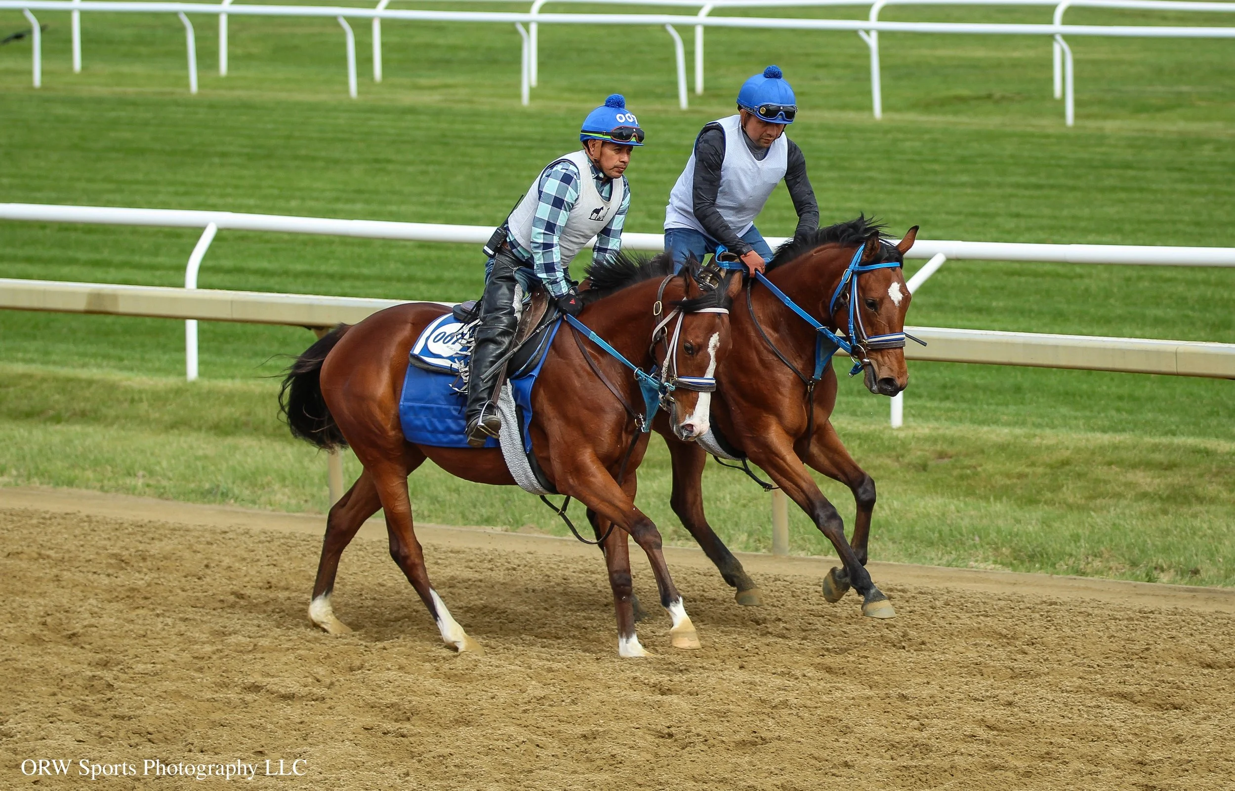 24 Giacosa and 24 Brandini.jpg