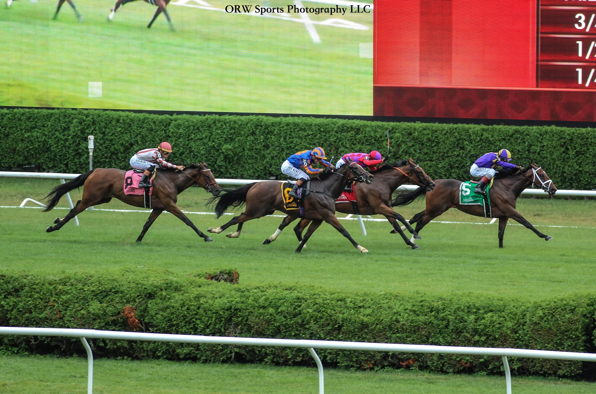Survies flies past Speed Shopper, Alluring Angel, and Storm Miami to take the Grade 2 Glens Falls Stakes 