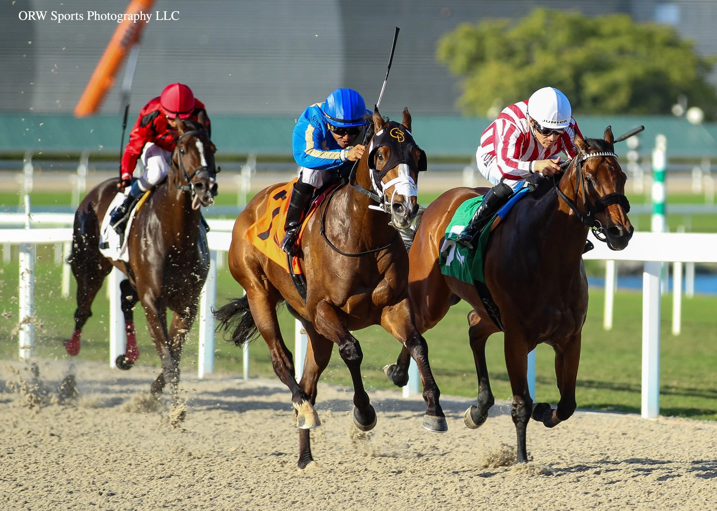 Banded Rocket vs Giant Teddy 