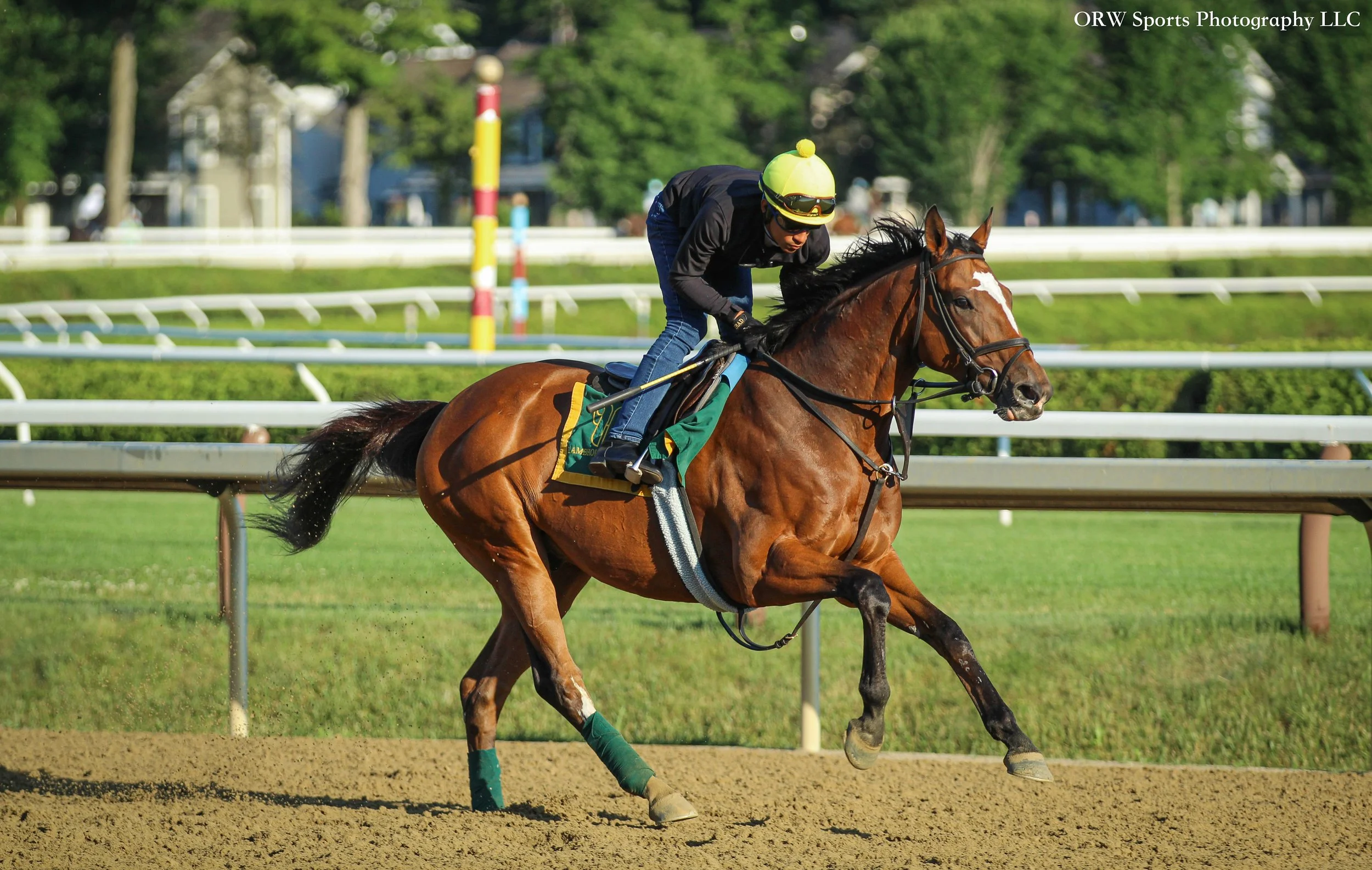Heathguard and Cesar Gonzalez