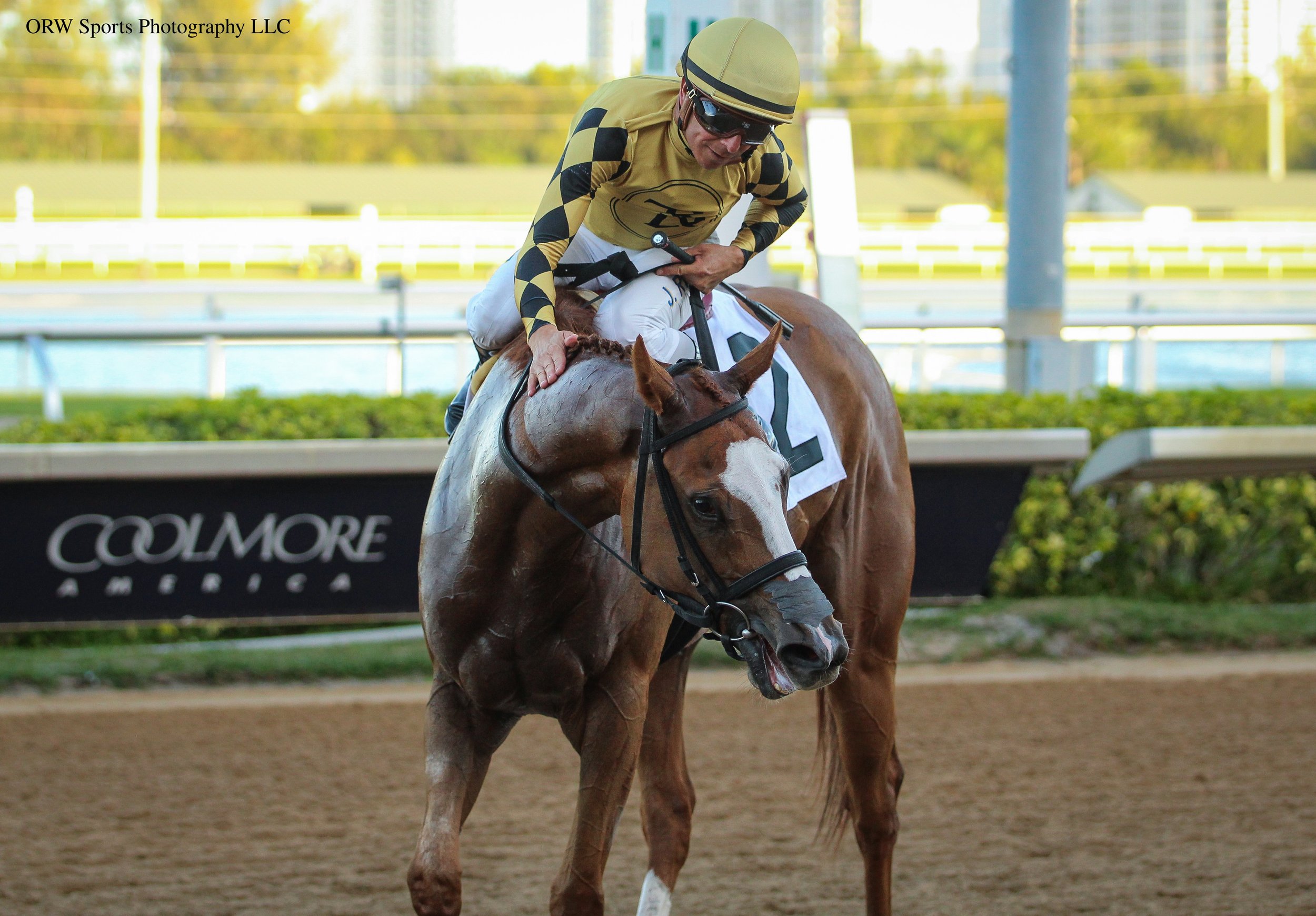 To a Flame and Jorge Ruiz (6).jpg