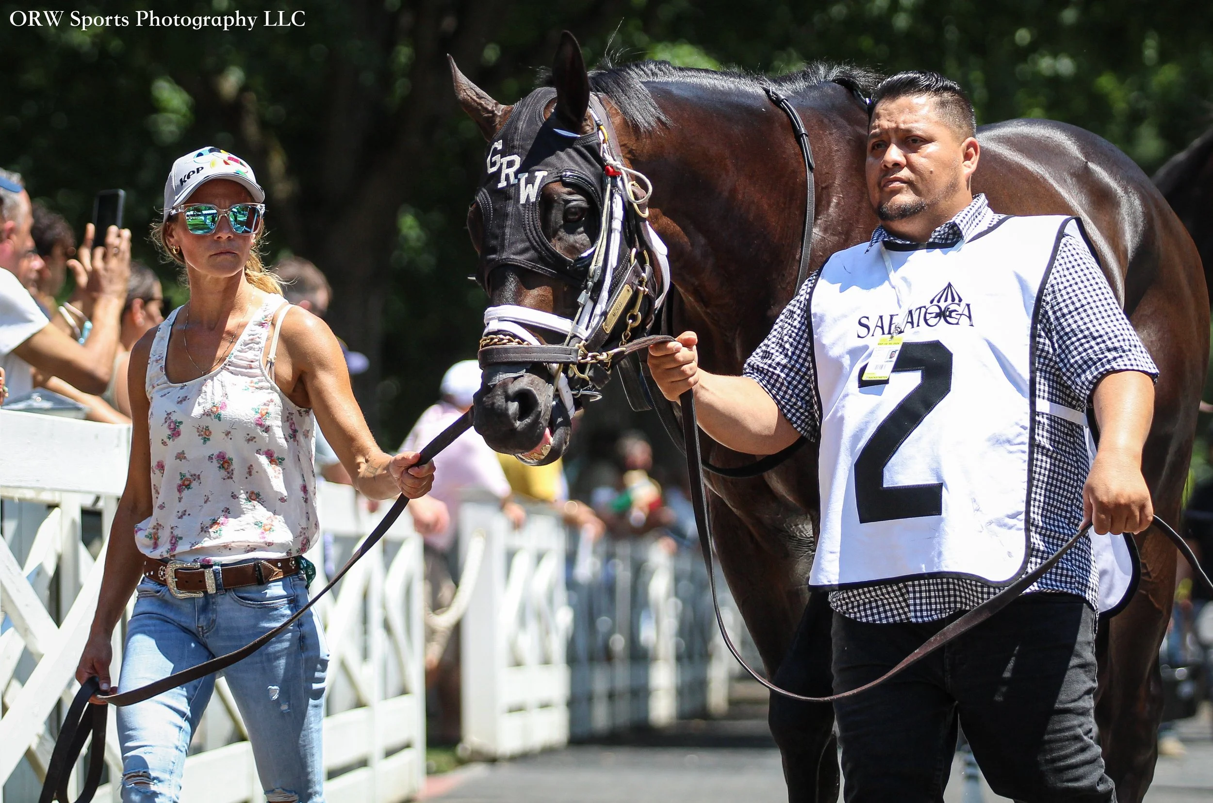McAfee. He is a half-brother to 2024 Horse of the Year, Thorpedo Anna