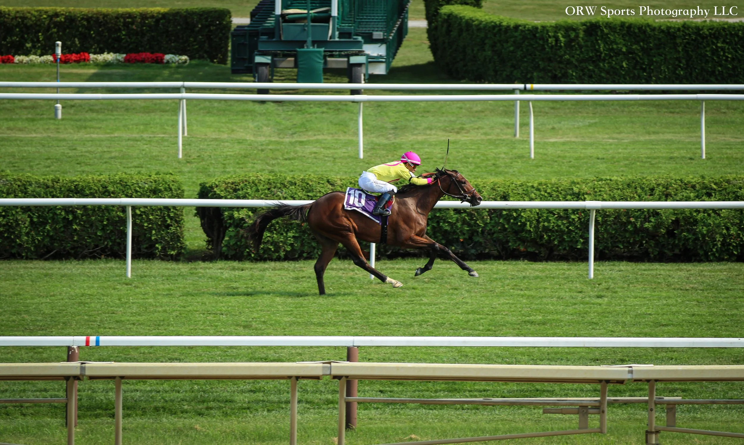 Zolo Train is alone on the lead and impressing on debut with Jose Ortiz 
