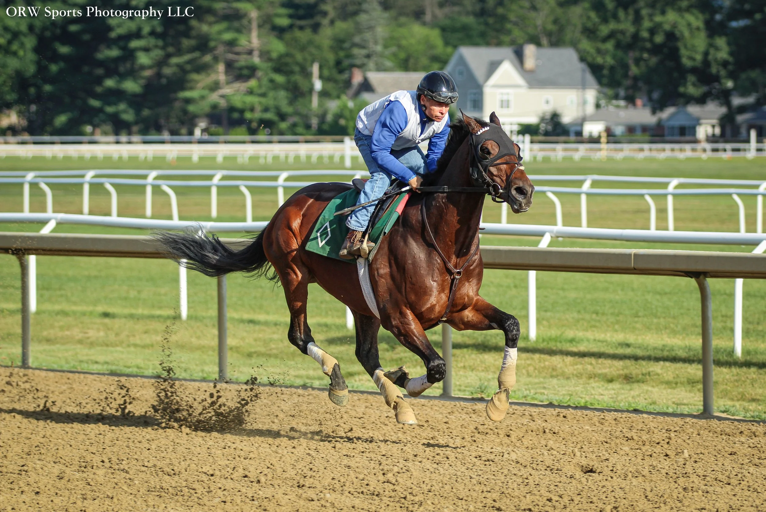 Resilience breezing 4 furlongs with Neil Poznansky aboard