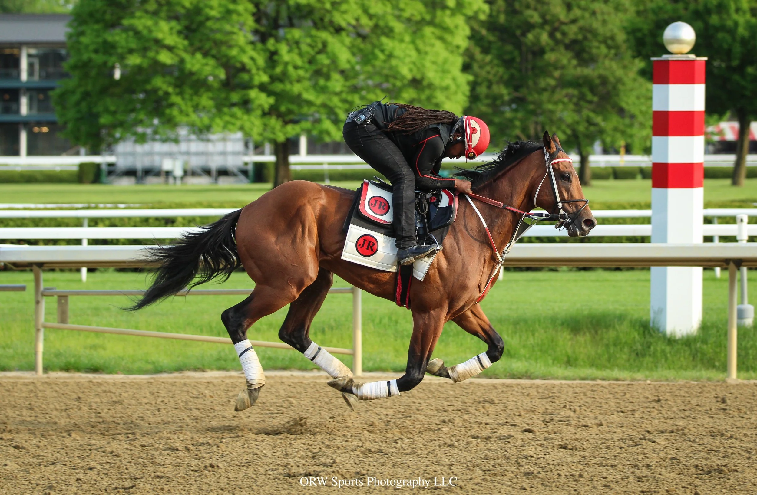 Robert Falcone trainee