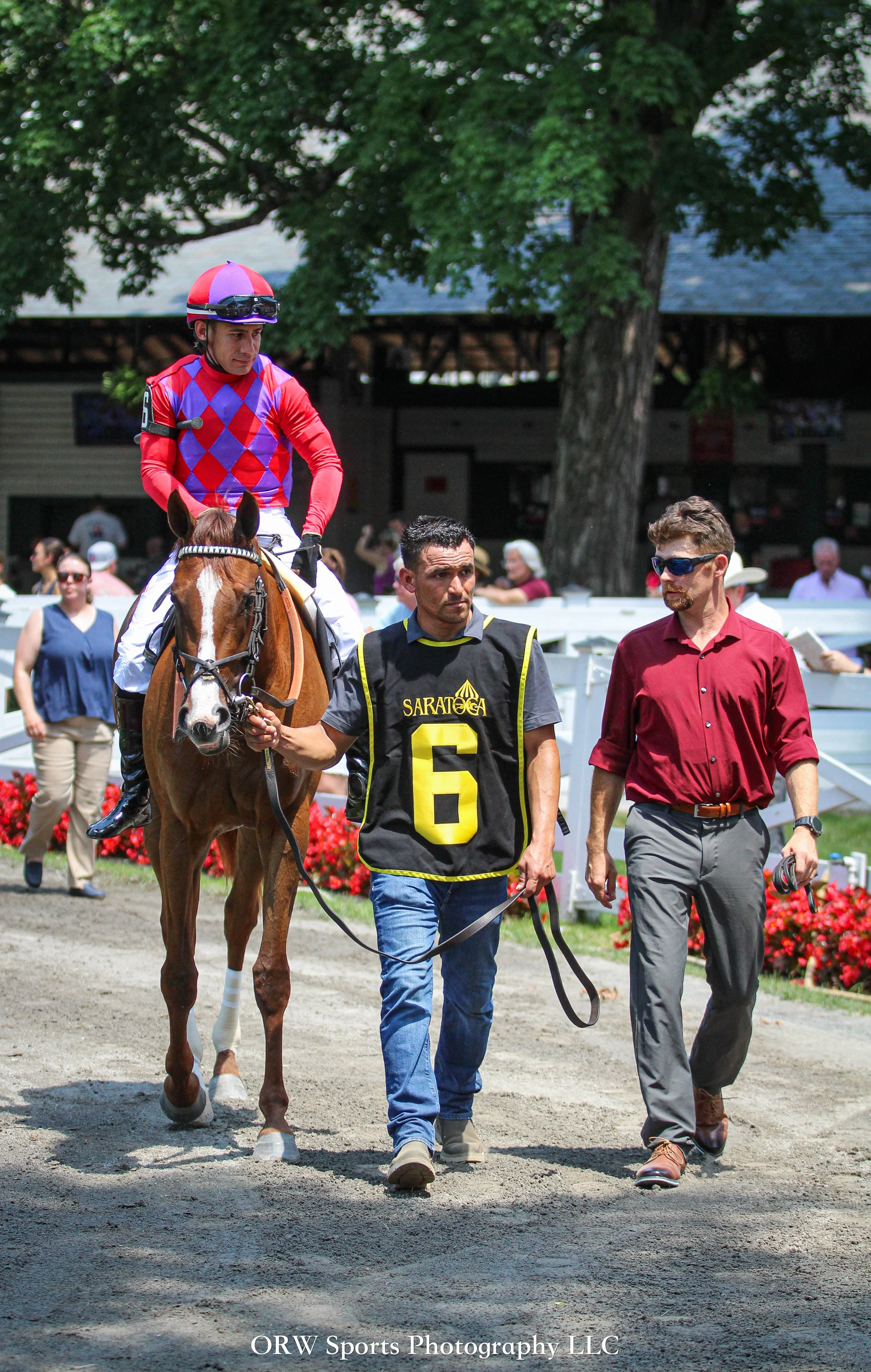 Pavlova’s Palace and Junior Alvarado 