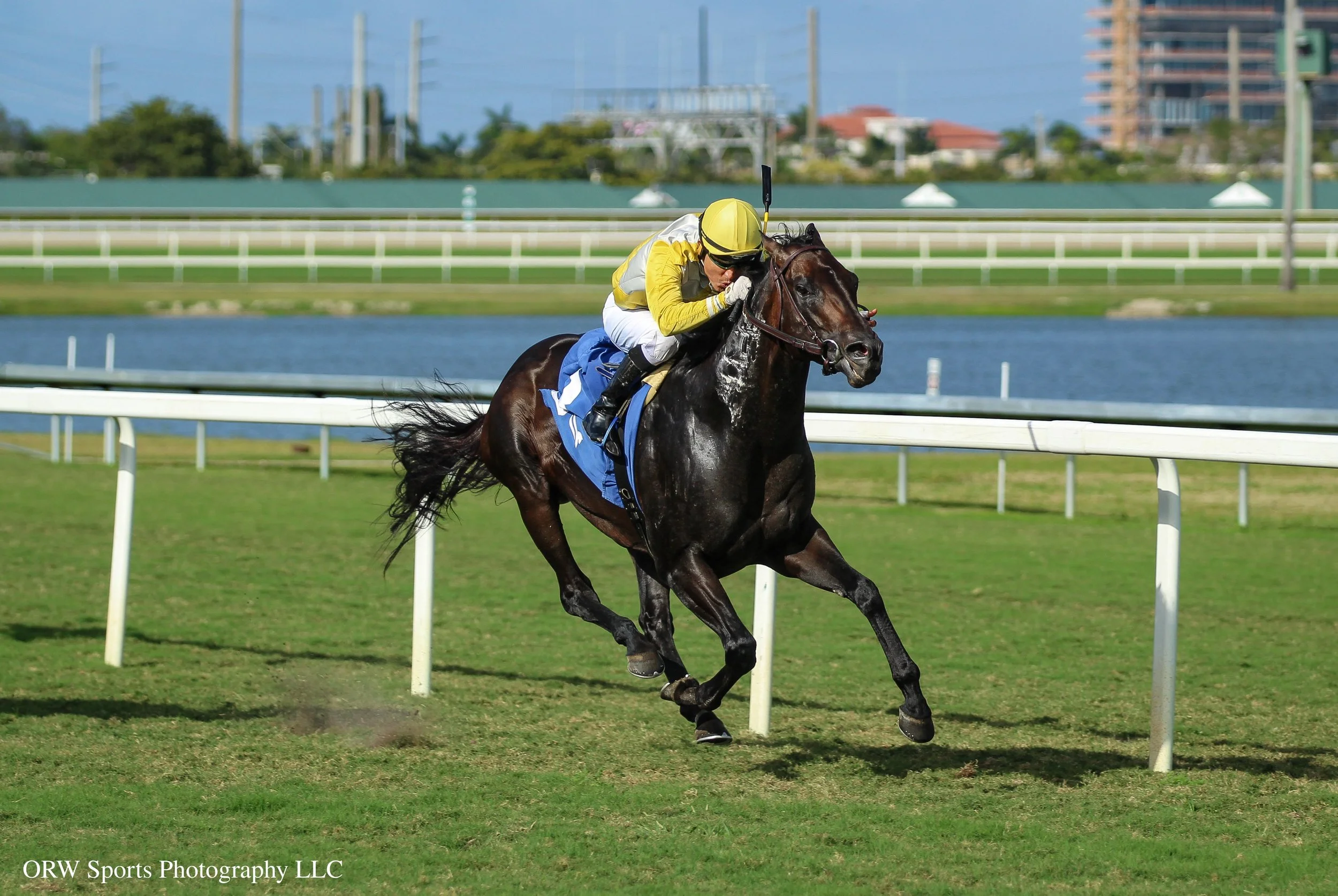 Litigation and Mario Gutierrez (3).jpg