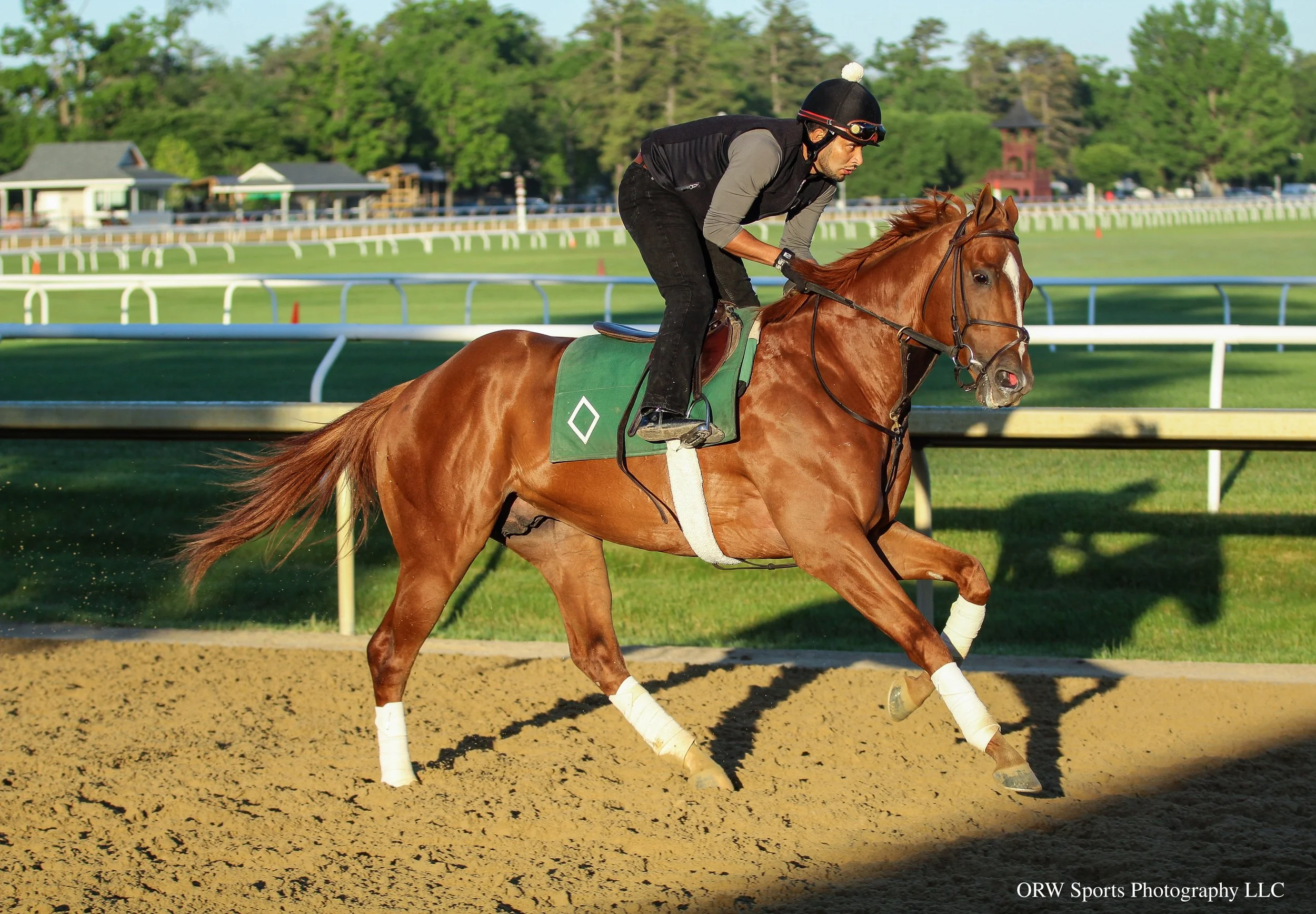 Gilded Bandit training ahead of his next start in the Grade 1 Woody Stepens Stakes