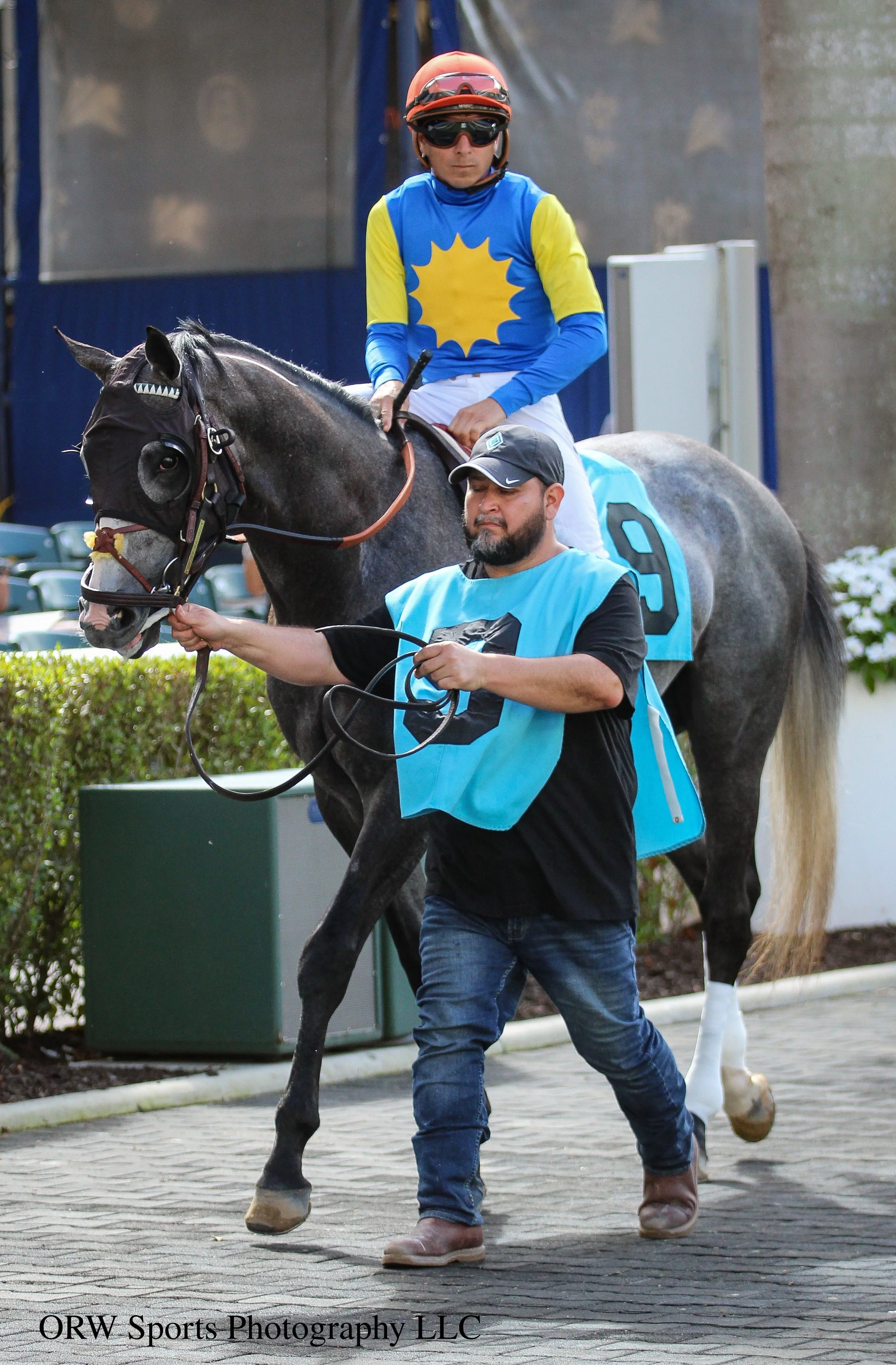 Whine Country and Jorge Ruiz 