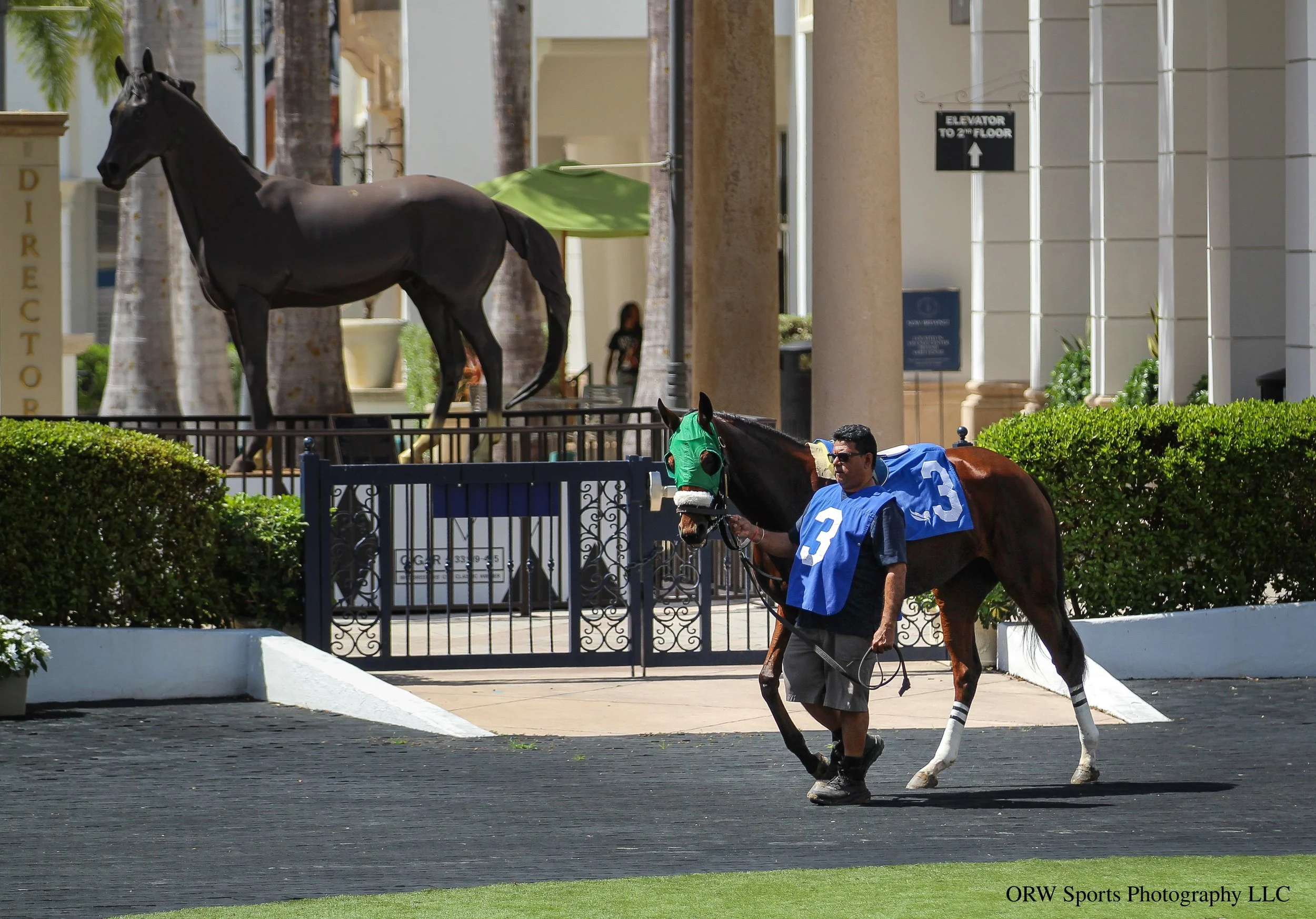 Alluring Serenity. 
Cigar watches over. 