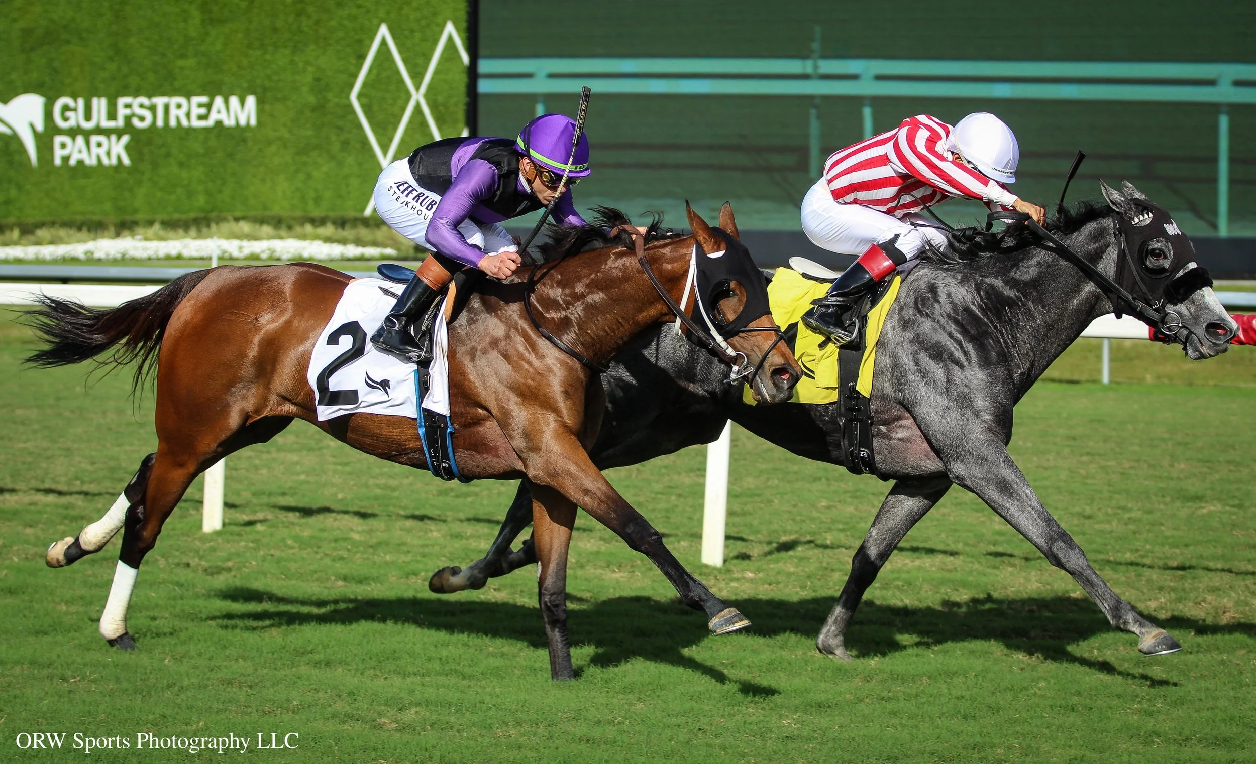 Zo Zucchera vs Logistics (2).jpg