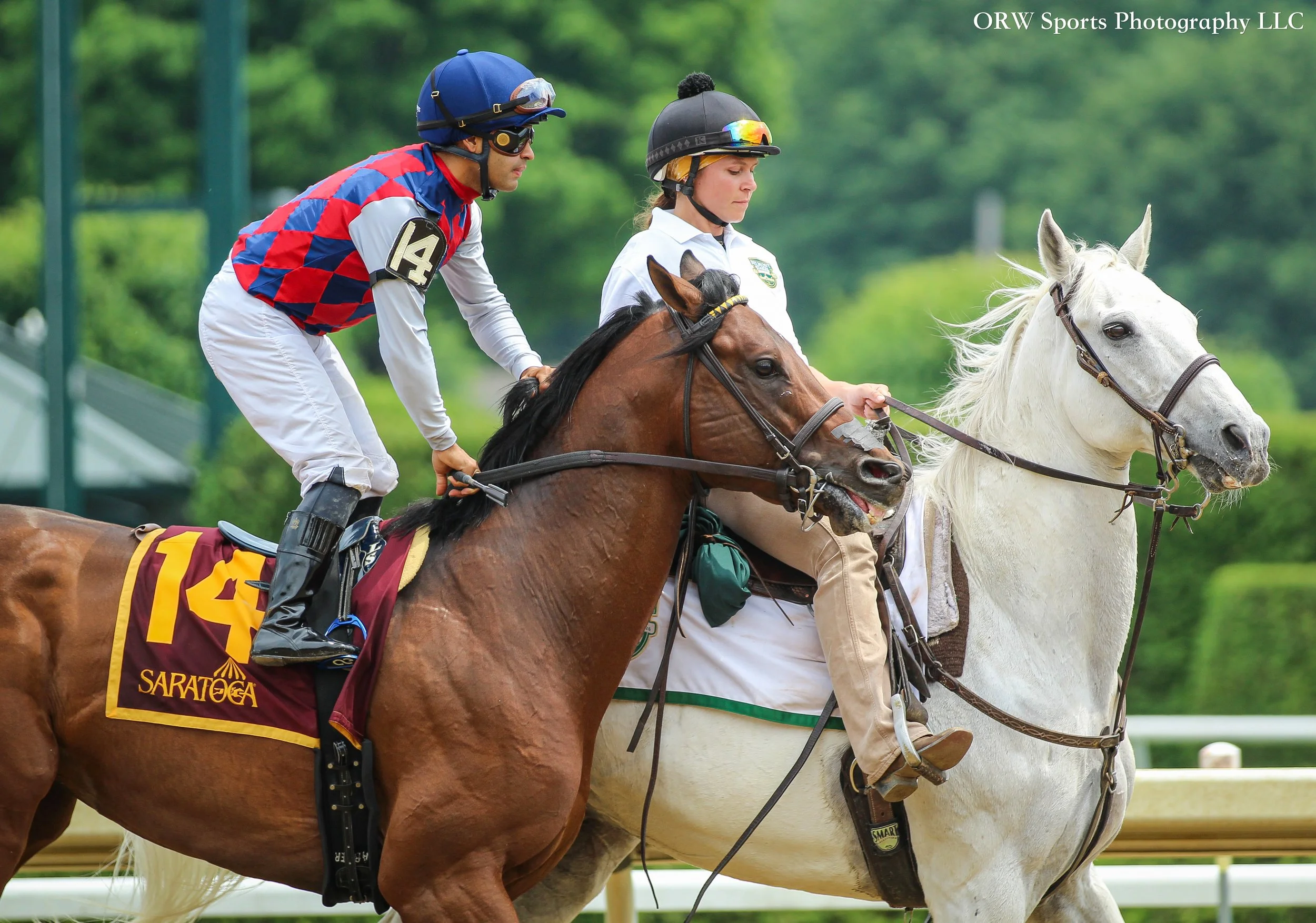 Gun Range and Luis Saez
