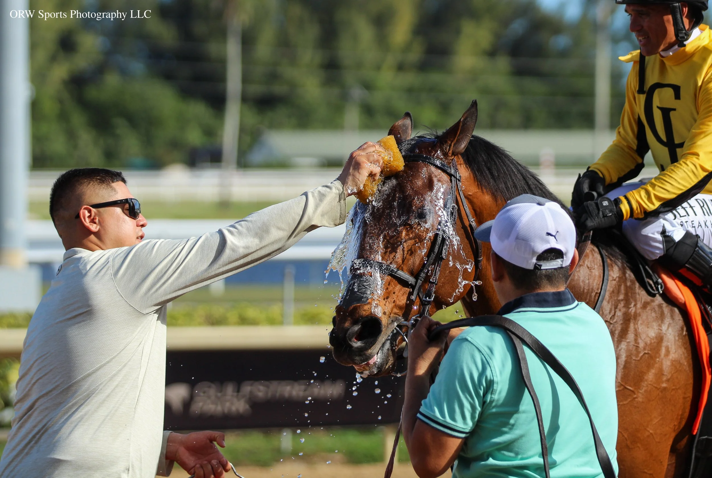 I C Light and Company.jpg