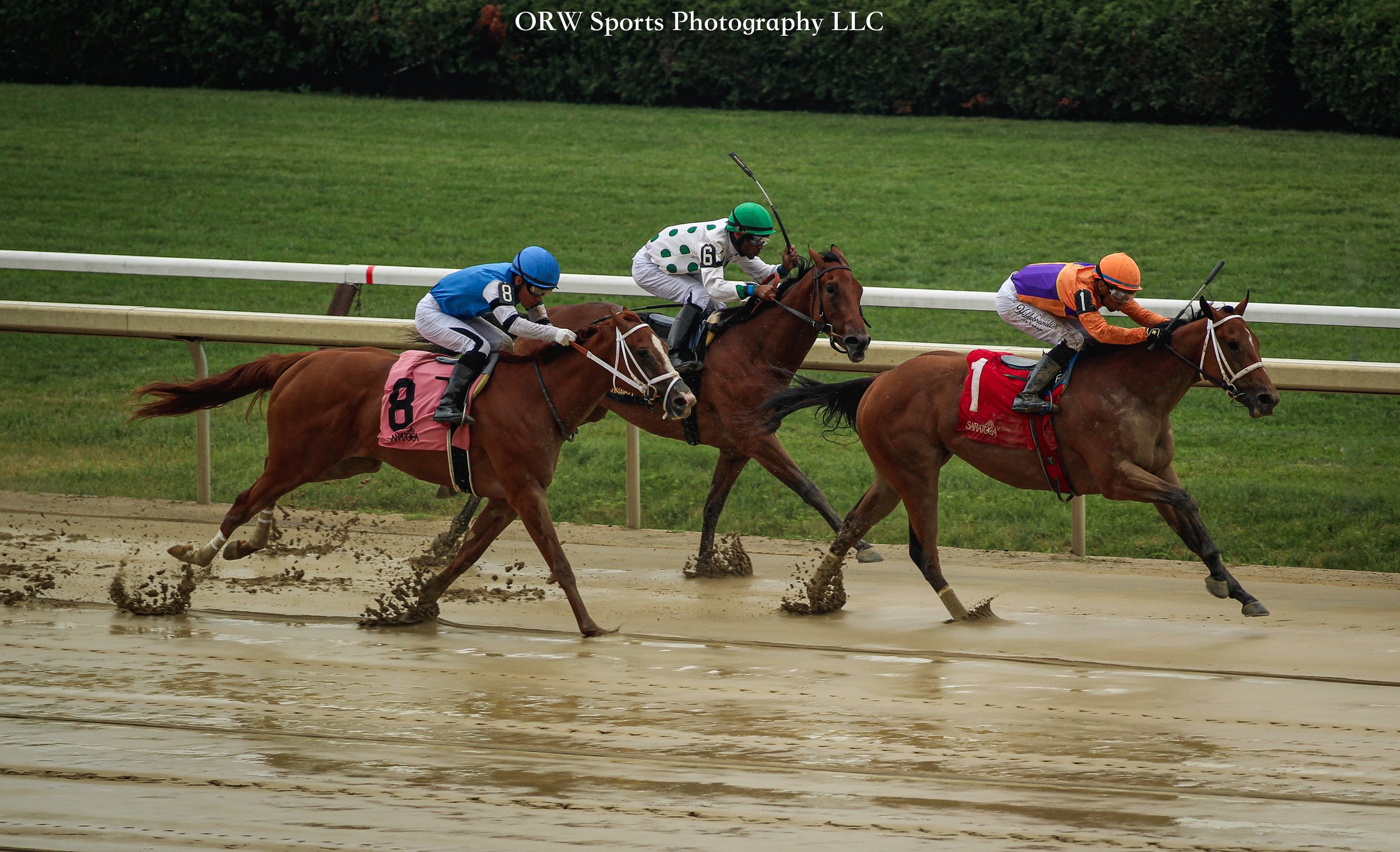 Effusive wins impressively on debut from Cruising Again and key Colony Beach. 