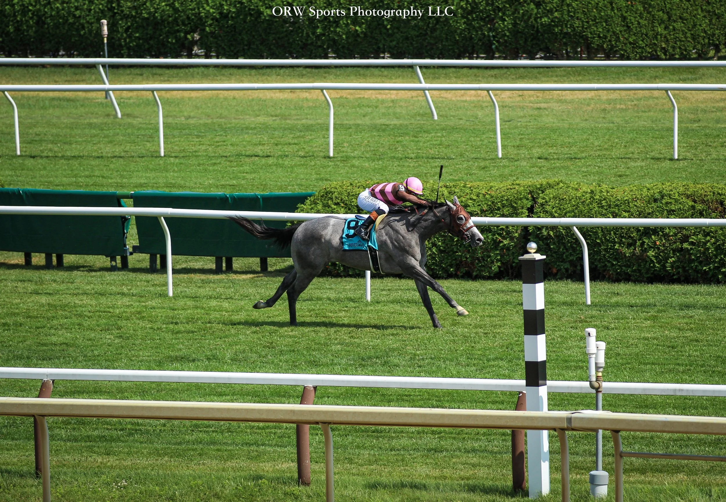 Side Quest and Irad Ortiz Jr .jpg
