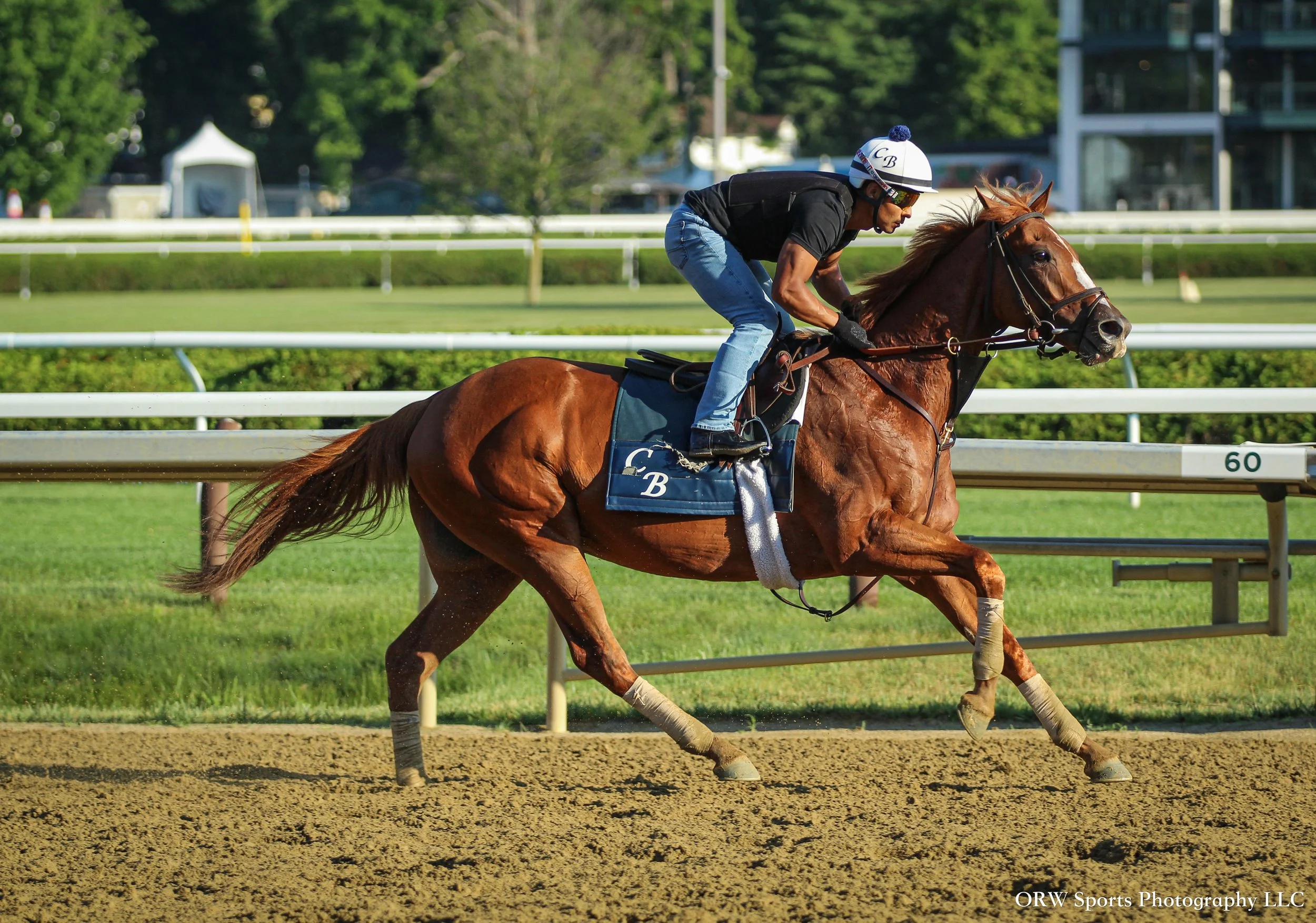 Chad Brown Trainee