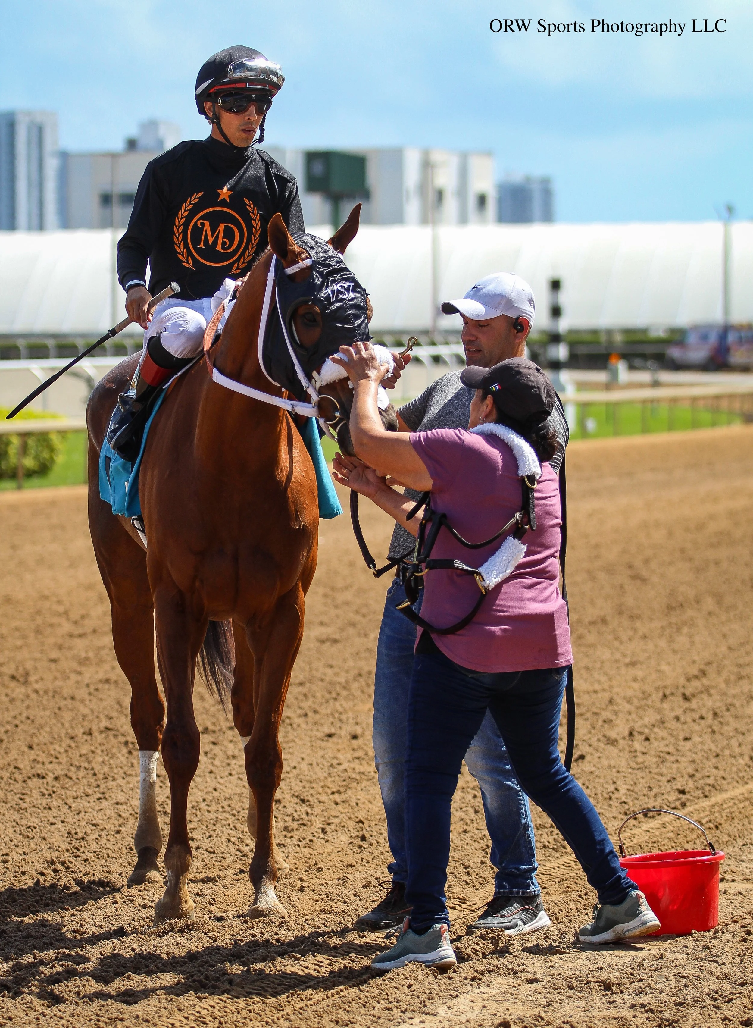 Simo and connections.jpg