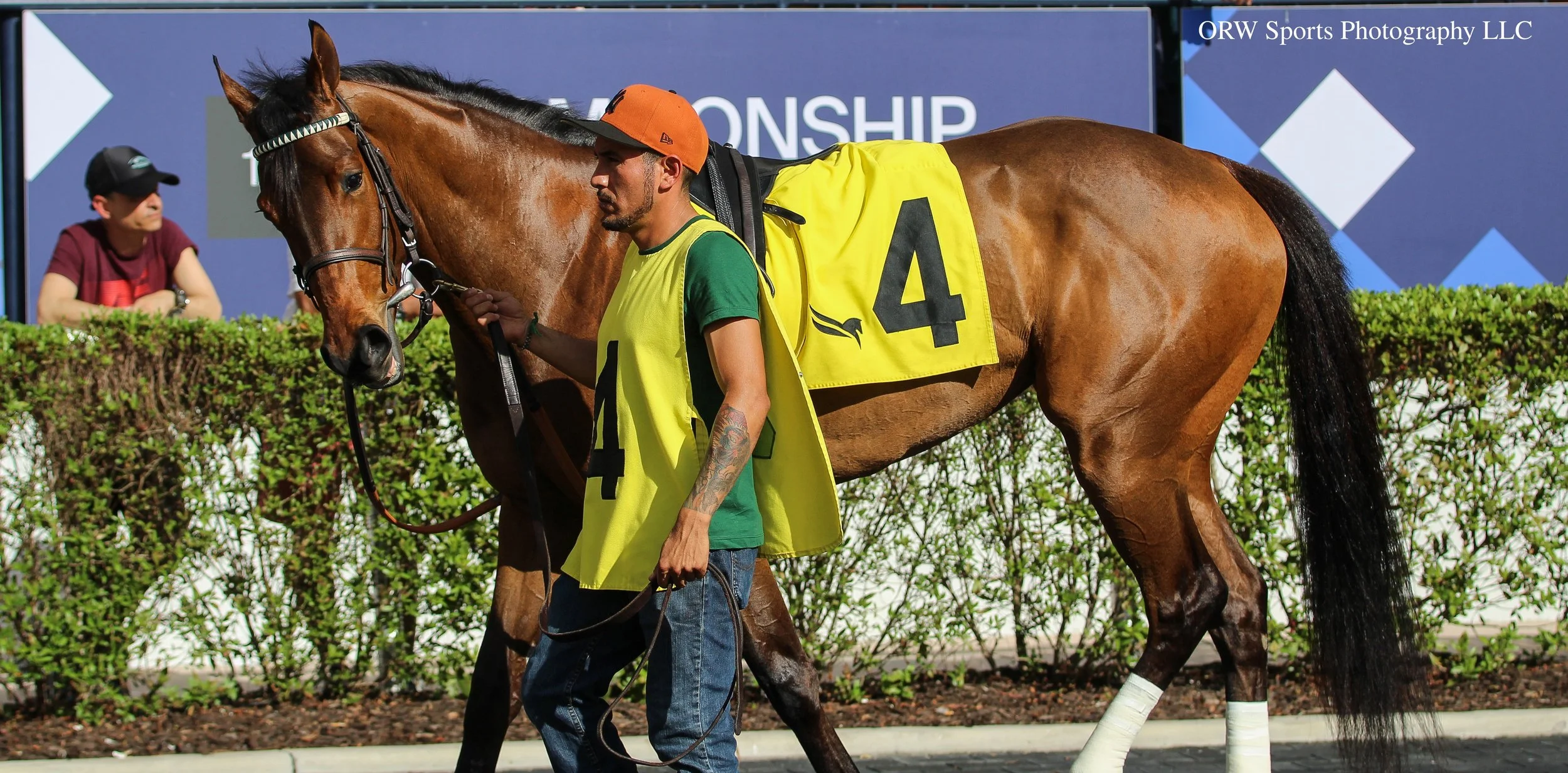 Pillar of Beauty (2).jpg