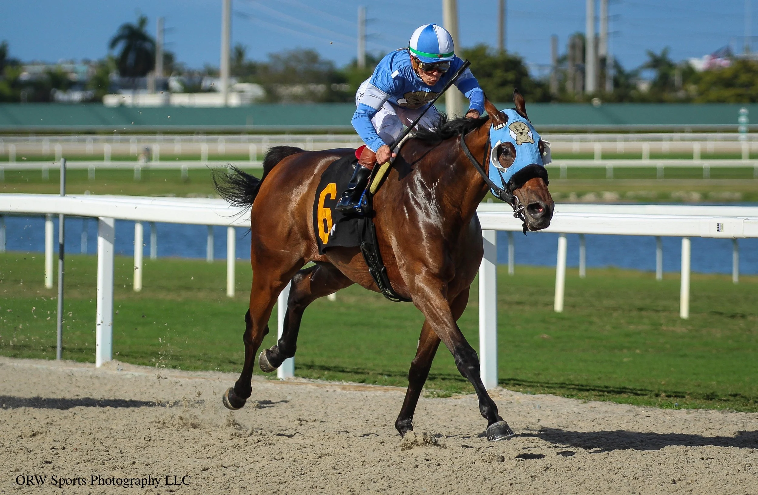 Backonthechaingang and Tyler Gaffalione (2).jpg