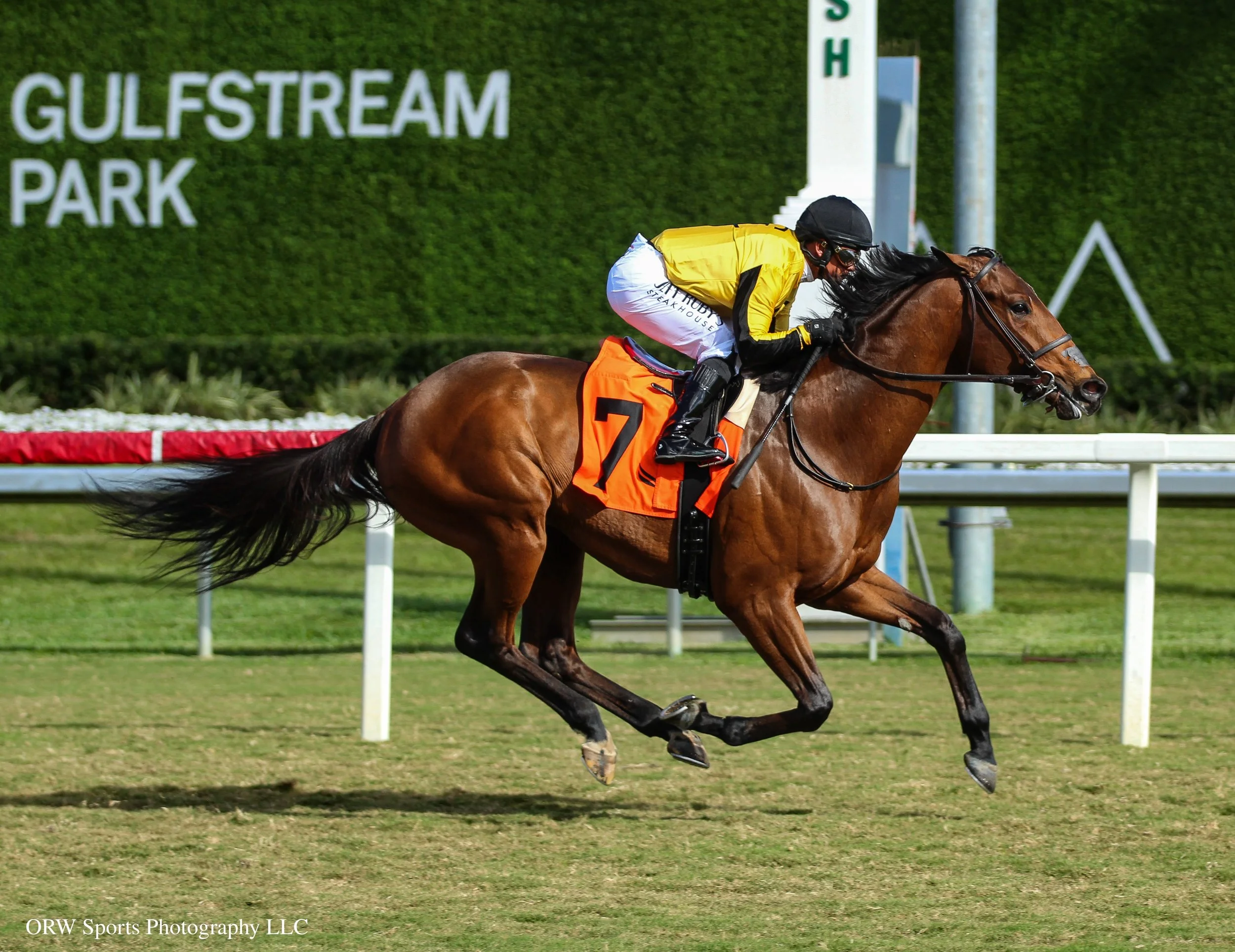 I C Light and Javier Castellano (6).jpg