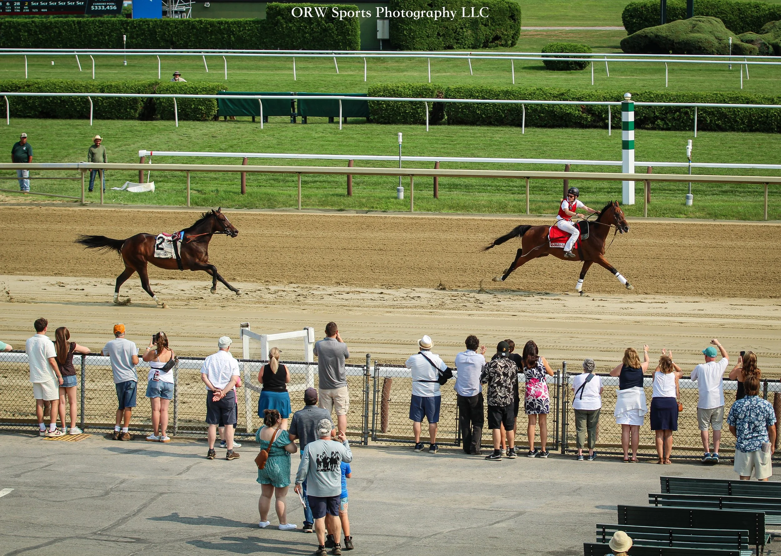 I've heard many people ask about the horses that stand on the track during a race. They are outriders; it's their job to monitor the track, catch loose horses (as shown here), and assist racehorses if they act up a little. 