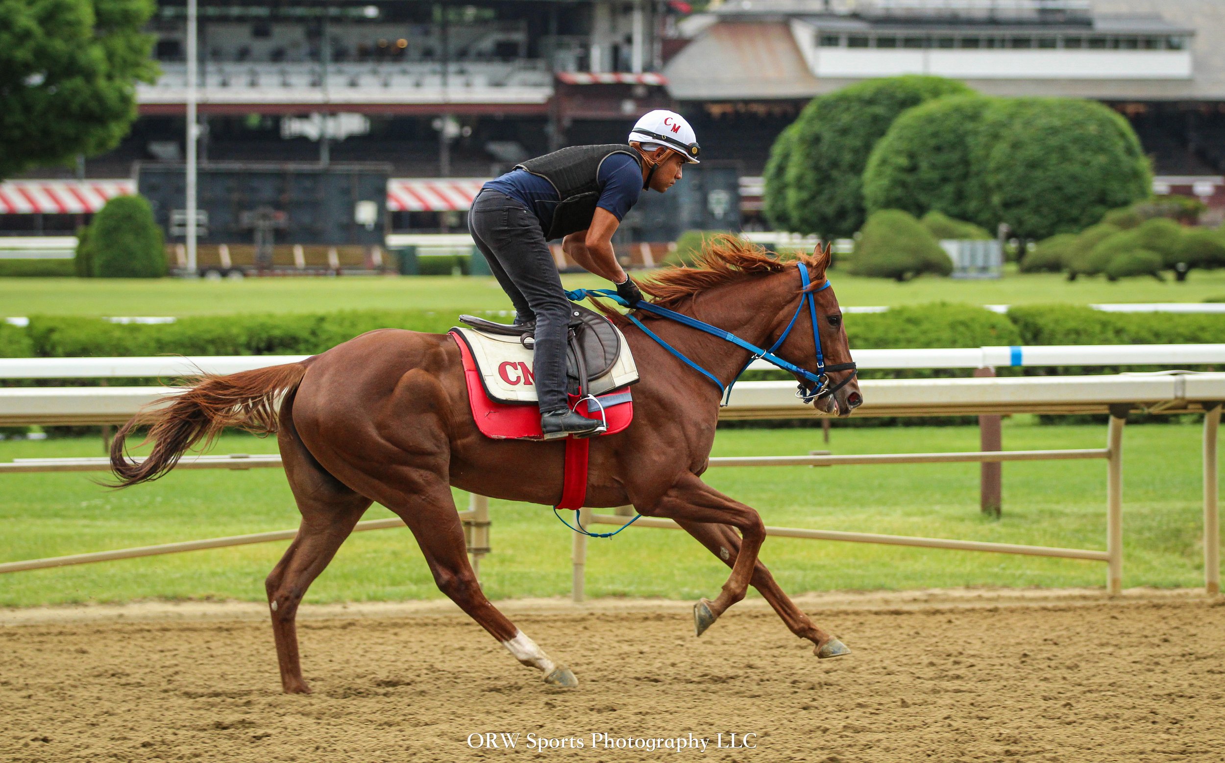 Carlos Martin Trainee 