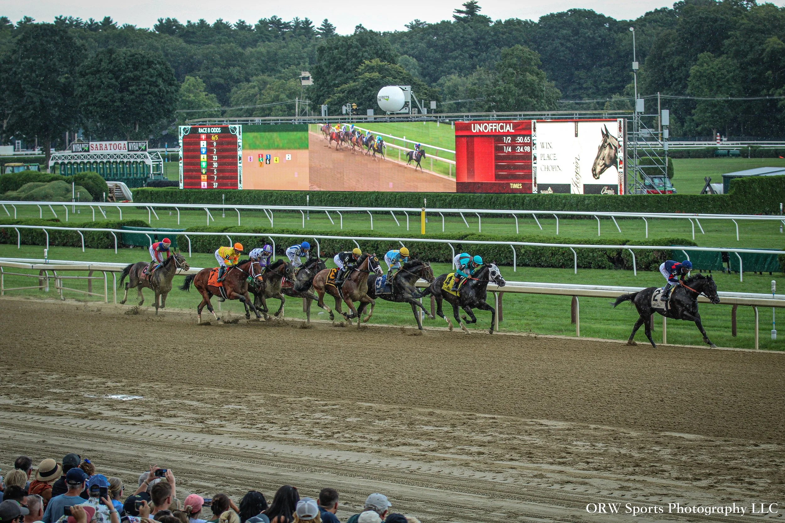 The Birdstone Stakes 