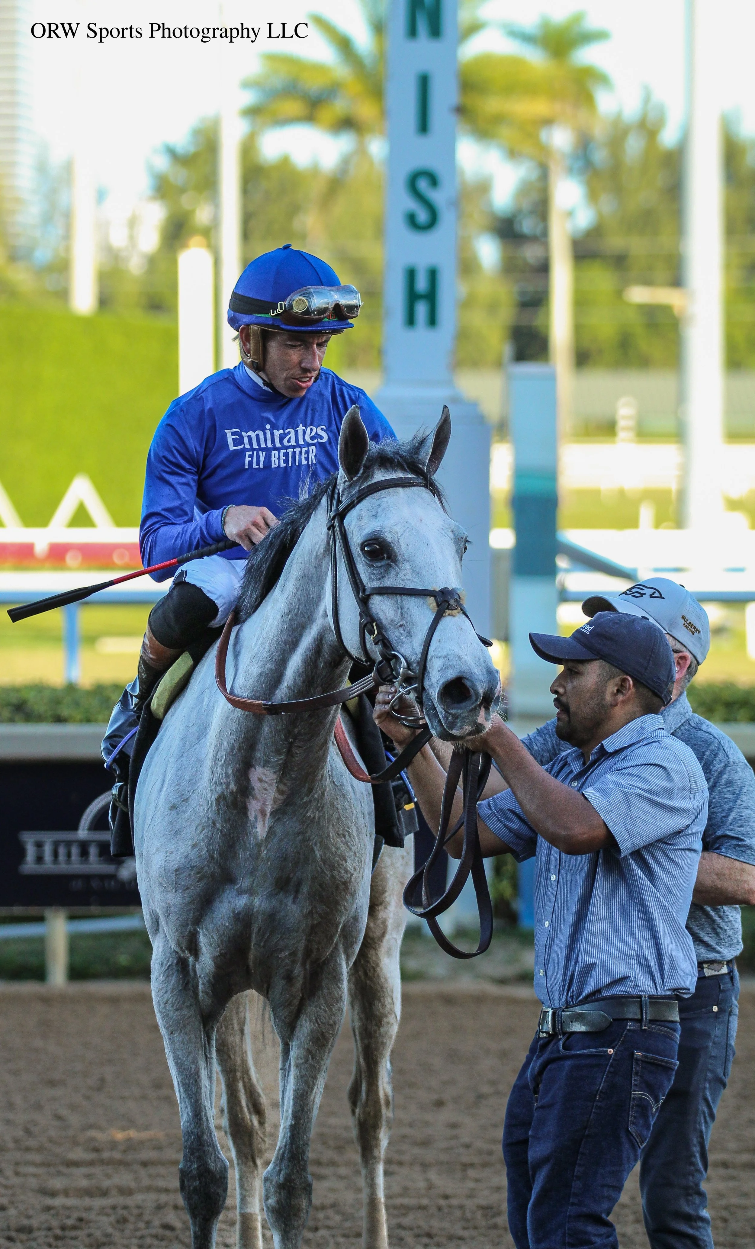 Contrary and connections.jpg