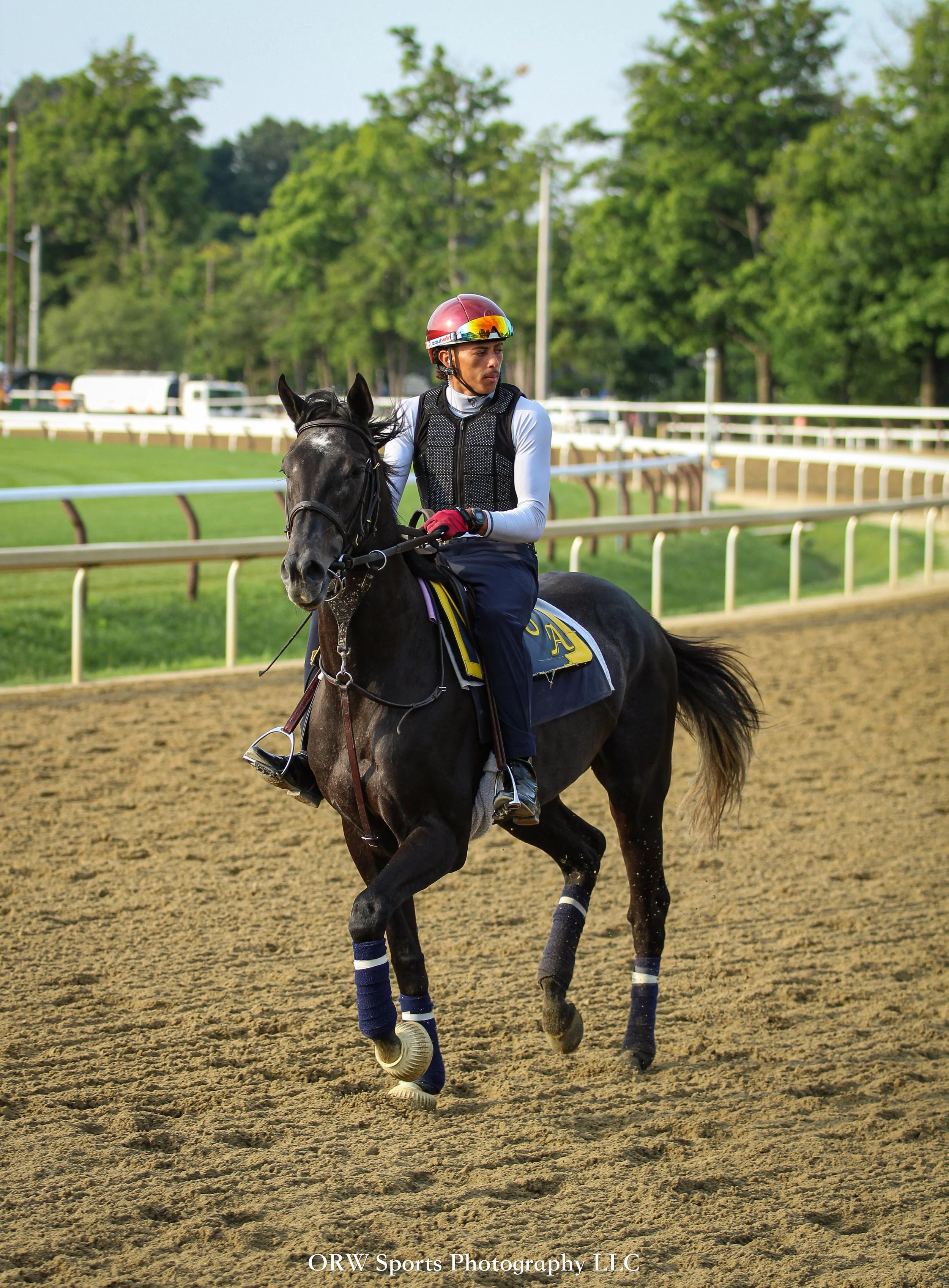 Jorge Abreu Trainee 