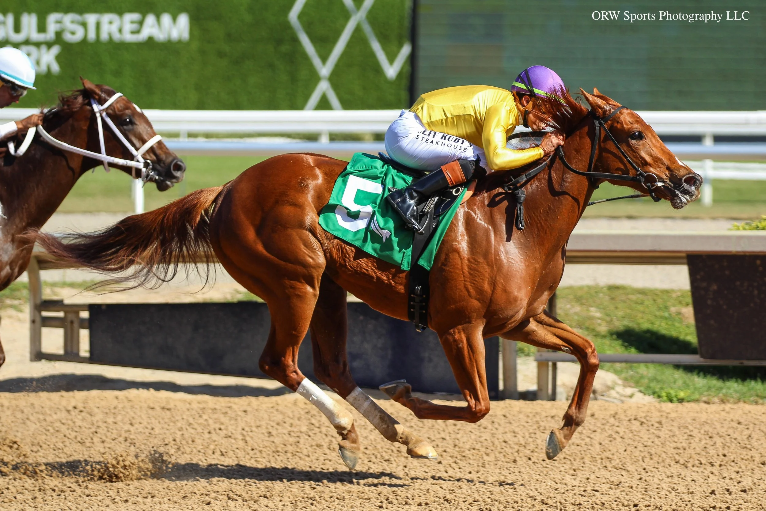 Viable Asset and Irad Ortiz Jr 