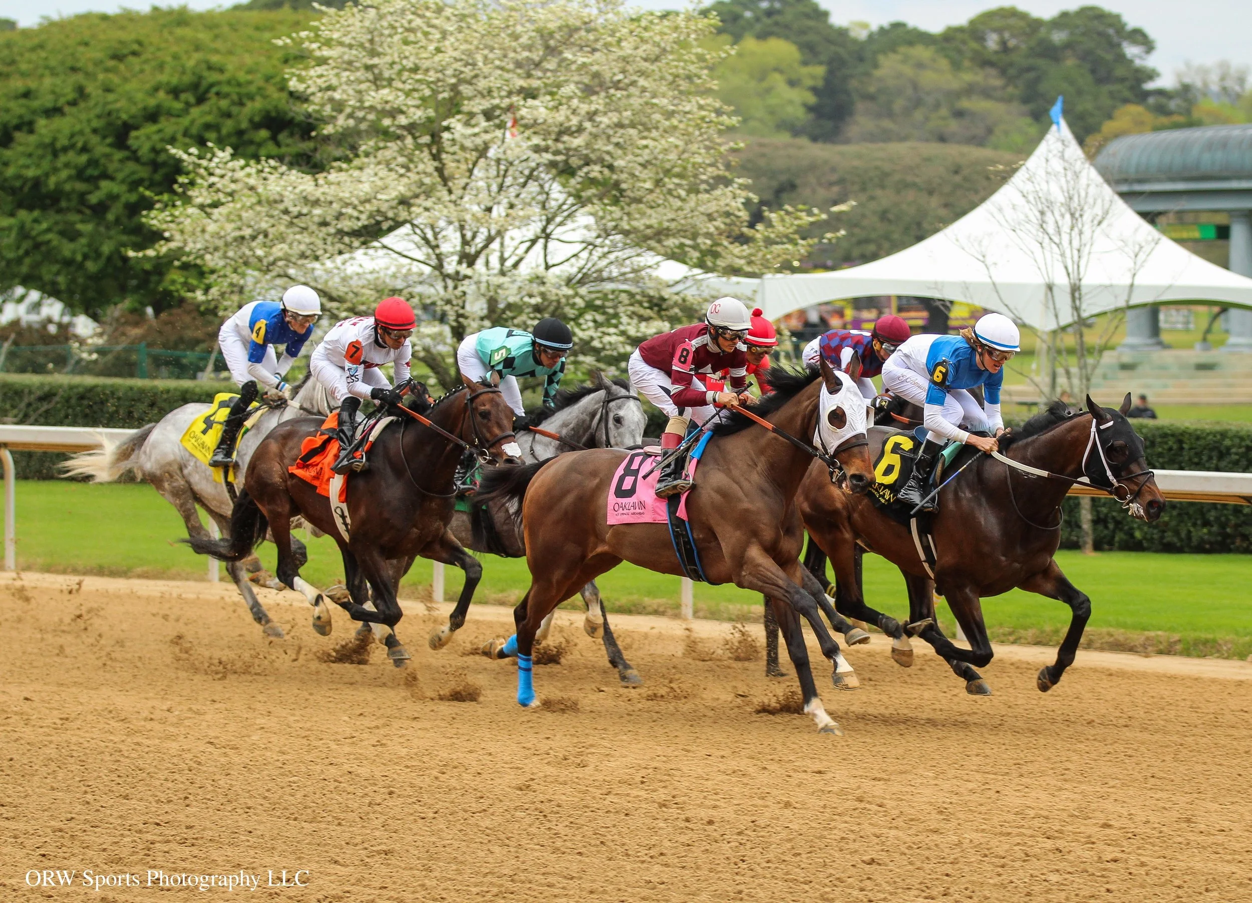 Race 7 