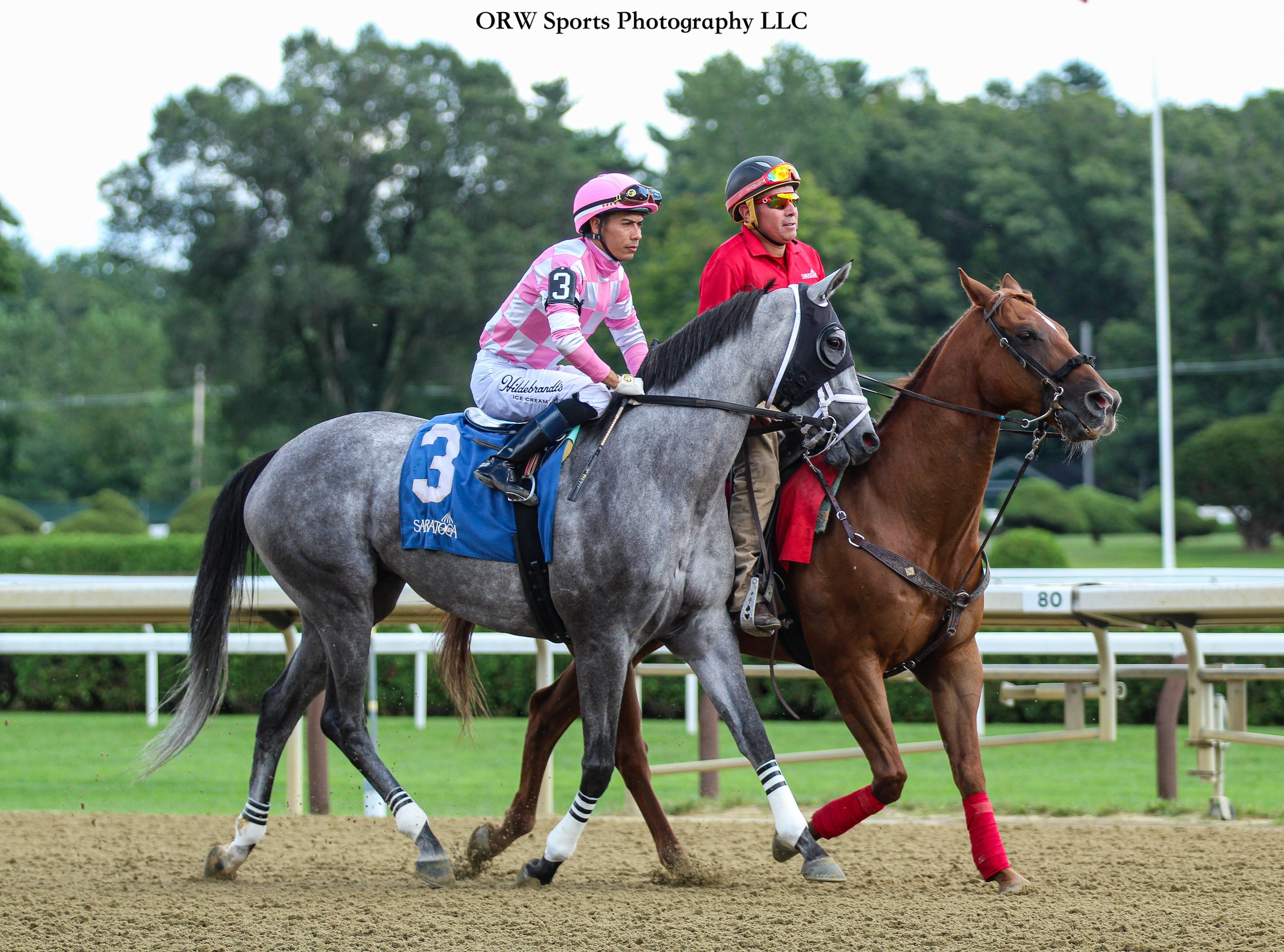Meg's Foxy Grey and Jose Ortiz 