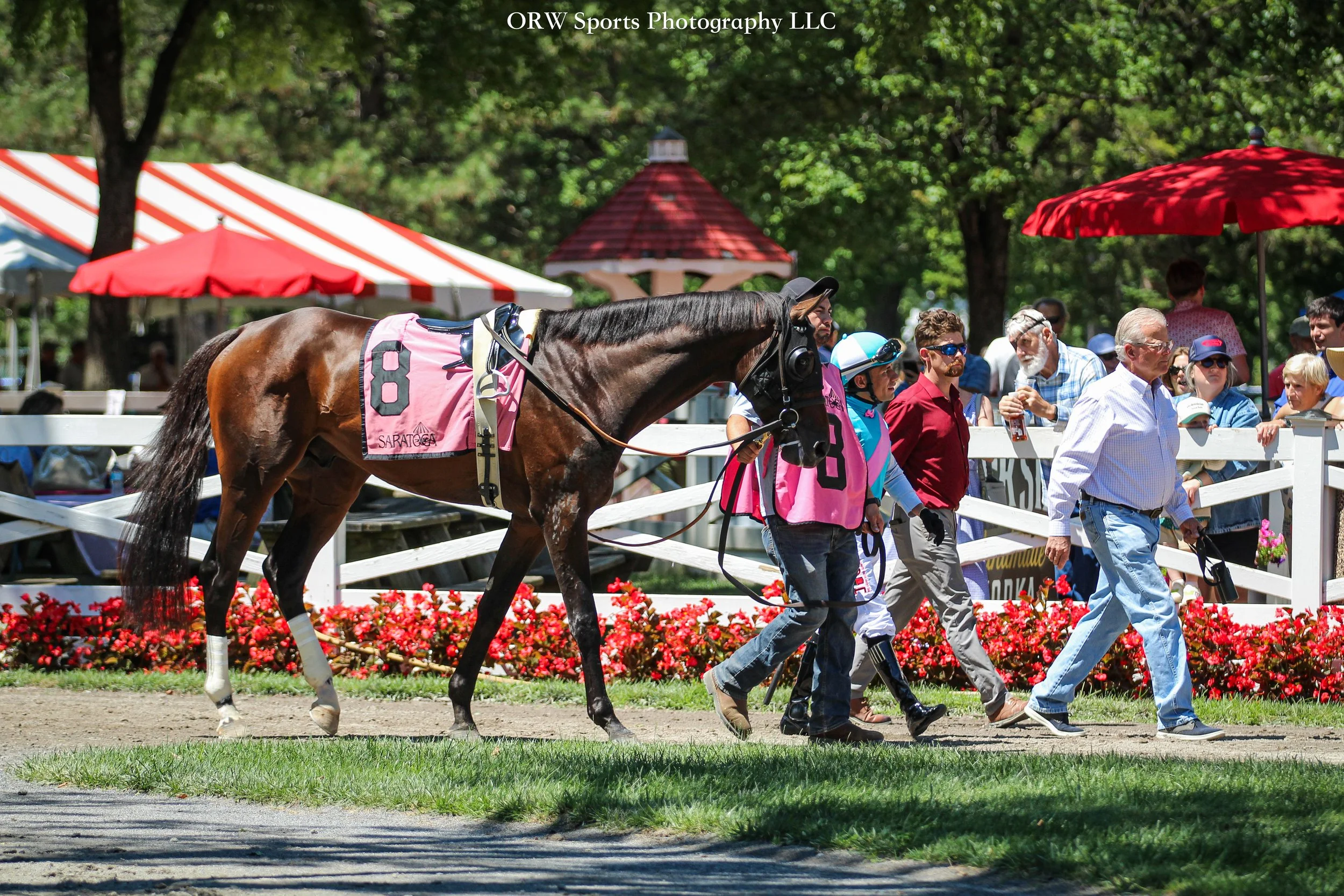 Sfumato and team