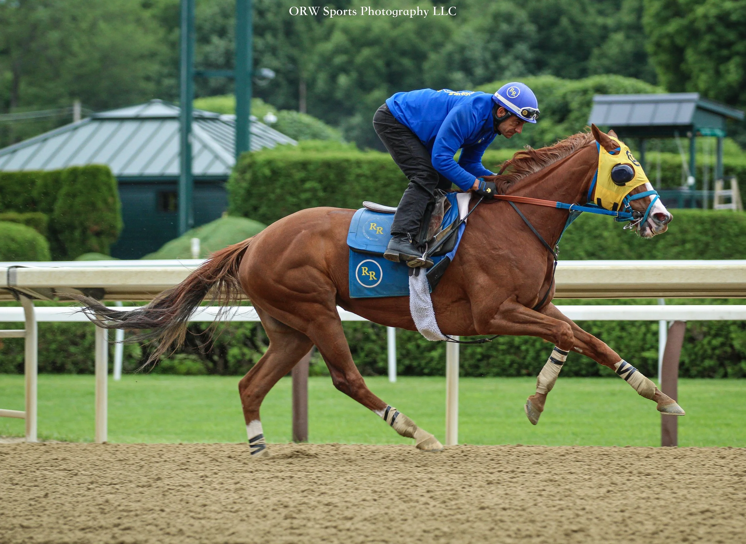 Rudy Rodriguez Trainee 