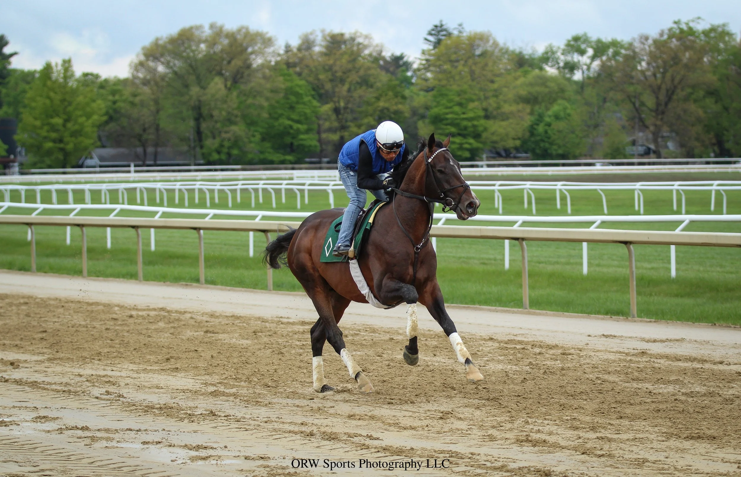 Reigning Horse of the Year Sovereignty gallops over the Oklahome Training Track with Jimmy Quispe aboard